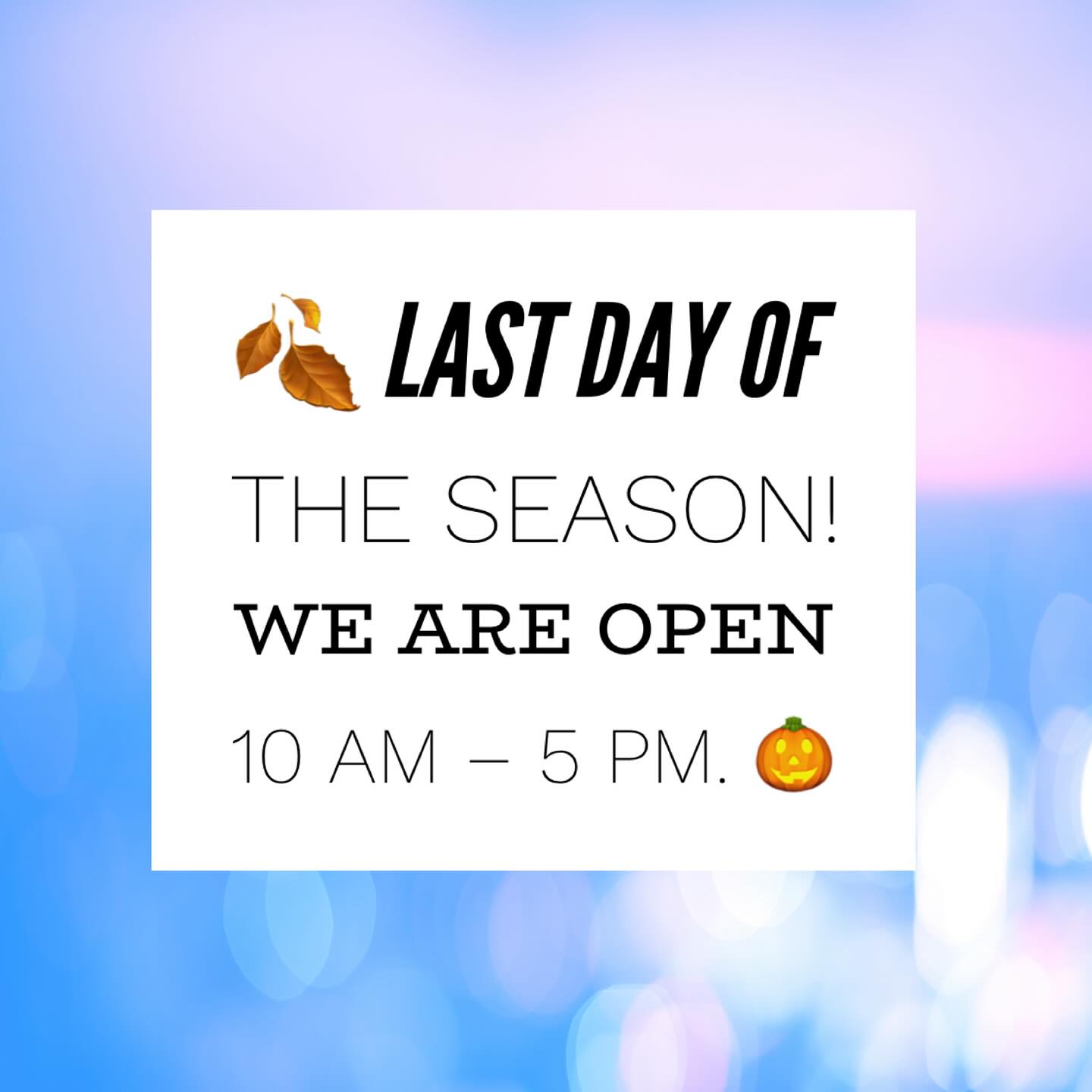 #PickYourOwn #DogFriendly #MonroeTownship #PumpkinPatch #Pumpkins #PumpkinFarm #PumpkinPicking #NewJersey #RedWagonFarm #RedWagonFarmNJ #MiddlesexCounty #NJFun #NJPumpkinPicking #NJPumpkinPatch #NJFamily #FallFun #FarmLife #FallVibes #AutumnAesthetic #FallSeason #PumpkinSeason #OctoberVibes #HelloFall #FallFeels #AutumnVibes #FYP