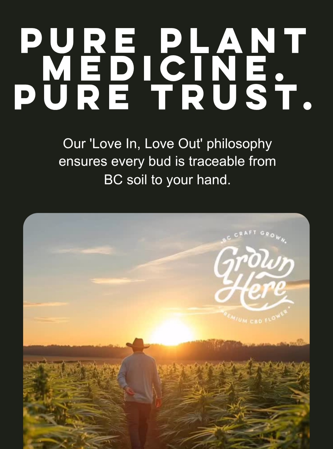 Pure Plant Medicine. Pure Trust.
At Grown Here Farms, we believe transparency isn’t just good business — it’s an act of love.
Our Love In. Love Out. philosophy means every choice we make — from how we nurture the soil to how we hand-trim each bud — carries the same intention: purity, honesty, and care.
Now, through our new Traceability App, every flower we grow is fully traceable — from BC soil to your hand.
Scan the QR code, or enter lot number, on any of our products to see the full journey:
🌱 How it was grown
🧪 Independent lab tests (COAs)
🌾 Soil and water quality reports
🎶 Even the music we played to our plants
Because when it comes to plant medicine, trust grows here. Check it out at trace.grownherefarms.com
#Transparency #RegenerativeFarming #CBD #CannabisIndustry #Innovation #GrownHereFarms #Traceability #PurePlantMedicine