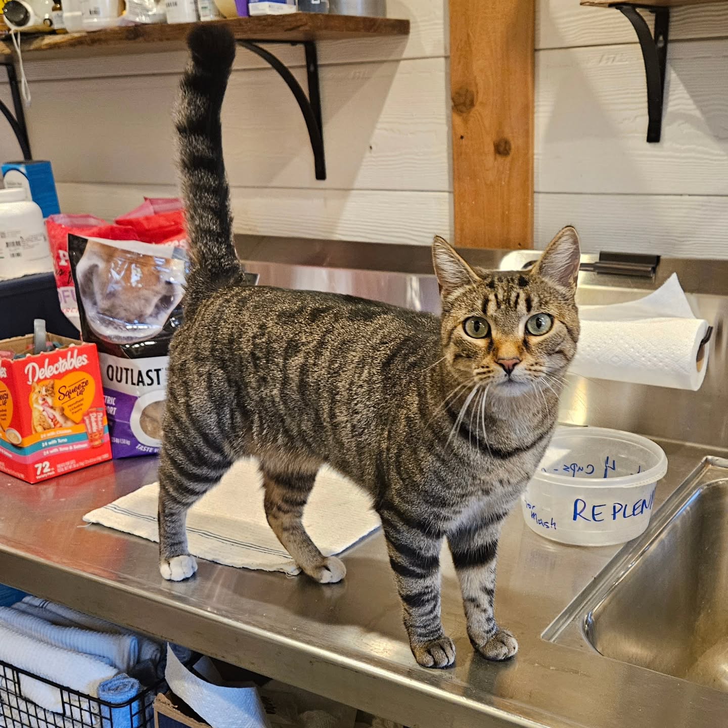 Its dinner time right?