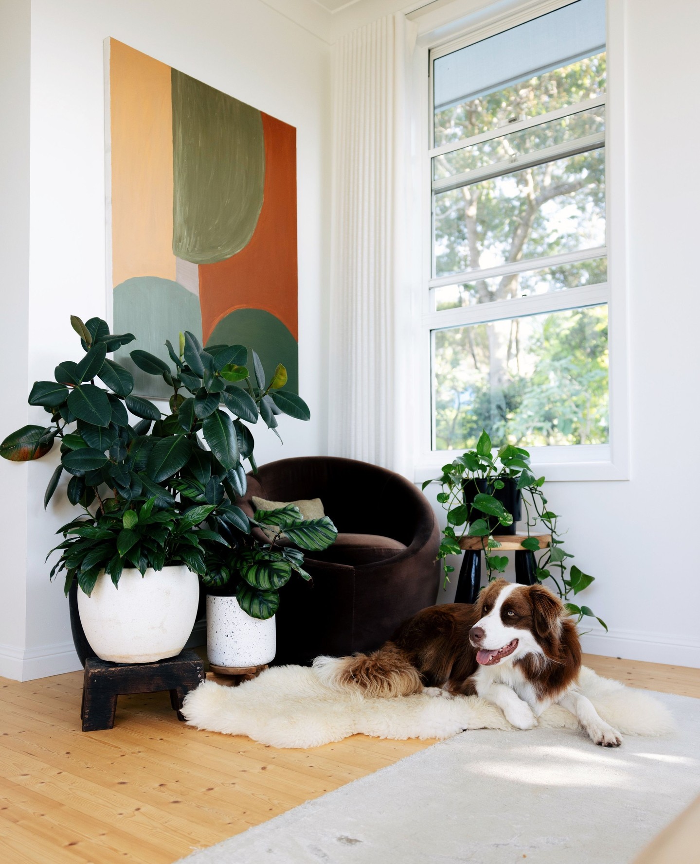 Taking a moment to appreciate the joy in our work renovating houses: when you turn it into a home that's lived in, full of joyful memories and a true reflection of you.
Renovating is the exciting bit at the end, but what excites us most is knowing what it will become after we hand over the keys.
🔨 Byron Bay Builder & Carpenter - home renovation specialists