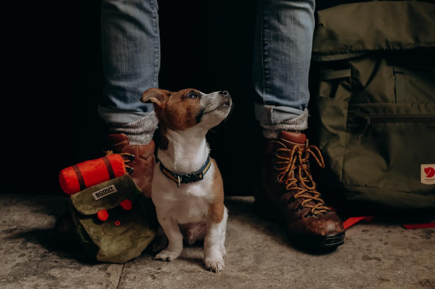 When your best buddy is 8 inches tall and hungry for adventure. 2 more days little Scout and I’ll show you the mountains.
My instagram is changing .. so get ready for cuteness overload .. you’ll now be able to follow our adventures and favourite walks in the UK. And join us for Hygge & Wyld wellness walks in the Lakes.
You can also book your own pup photoshoot on my other page @curatedbysarahelvin
.
#adventuredog #jackrussellpuppy #jackrussell #mountaindog #lakedistrict #lakedistrictdogwalker #wellnesswalks #lakedistrictlife