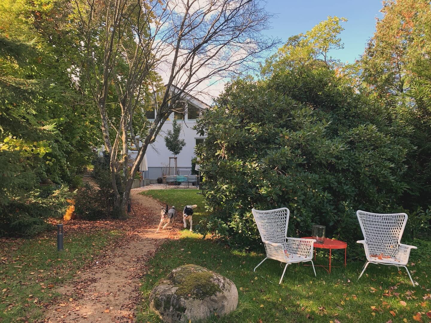 🏡 IMMOBILIEN MIT ATMOSPHÄRE
Das Schönste an unserem Beruf?
Man kommt an Orte, die einem sonst verborgen bleiben – trifft inspirierende Menschen und entdeckt Immobilien, die so viel Atmosphäre versprühen, dass man am liebsten direkt selbst einziehen möchte.
Solche Momente erinnern uns immer wieder daran, wie besonders unsere Arbeit ist. Sie schenken uns Energie, Inspiration und jede Menge Ideen für neue Projekte. 💡
Kennt ihr das auch? Habt ihr in eurem Alltag Begegnungen, die einfach bleiben? 💬
#immobilien #realestate #makler #badhomburg #oberursel #friedrichsdorf #königstein #kronberg #neuanspach #wehrheim #usingen #hochtaunus #taunus #rheinmain
#germany #zuhausegesucht #haus #wohnung
#grundstück #kapitalanlage #büro
#dienstleistung #hund | #steinhouse #steinhouseimmobilien