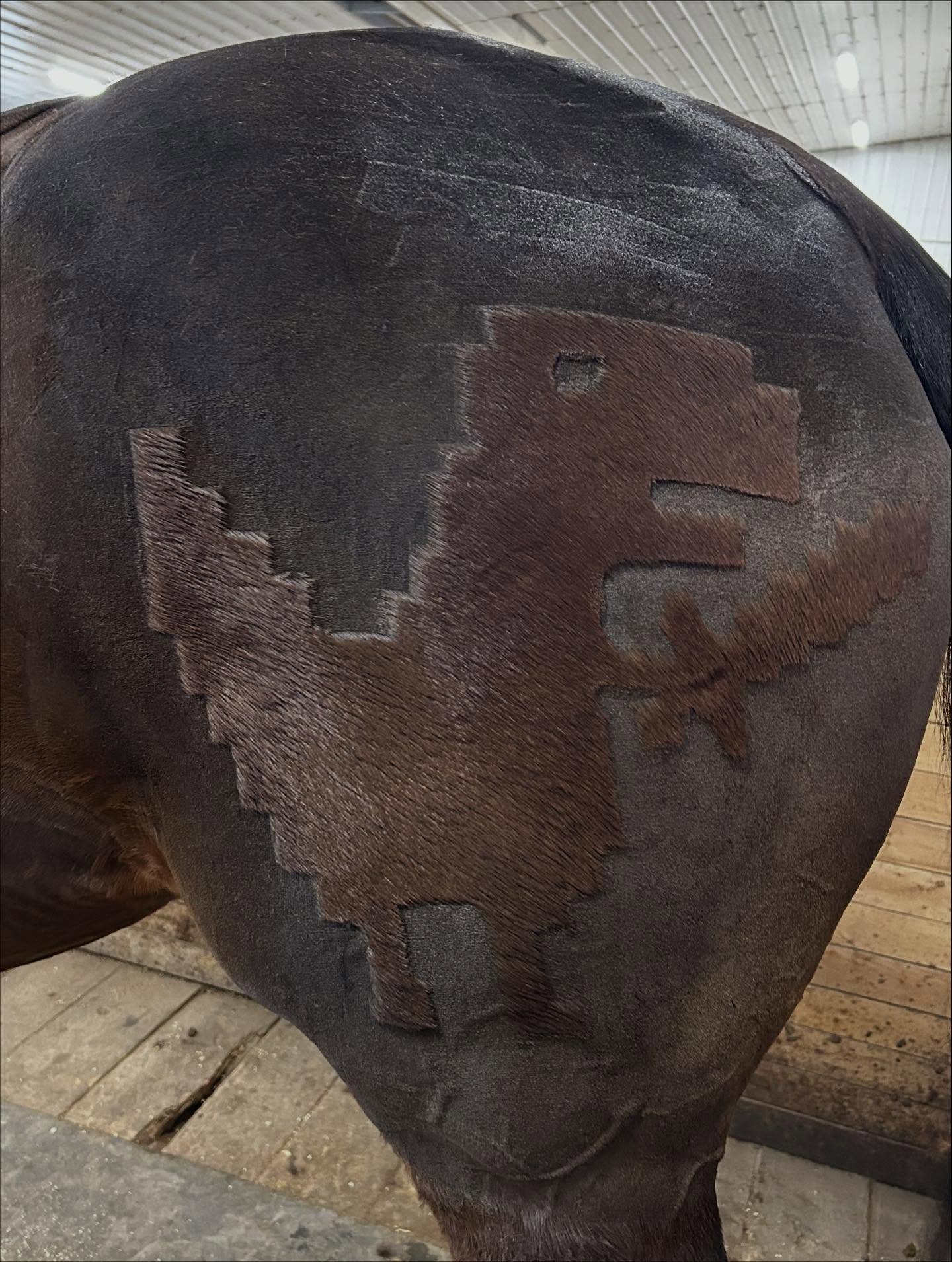 The marathon of day 2! Brought to you by steeped tea and @gem.and.the.equestrians ability to get ‘er done! 💜 thanks for all the help getting all of this years cutie marks on butts!