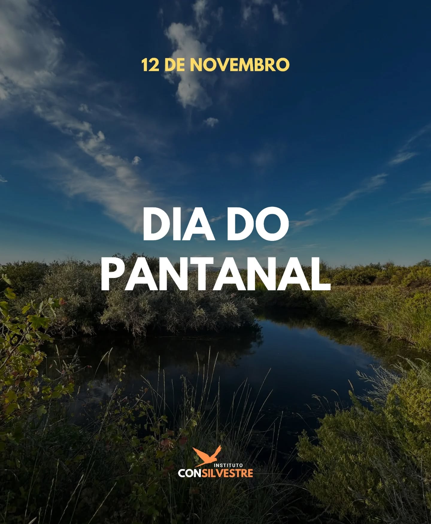 🐊 Hoje celebramos um verdadeiro tesouro natural brasileiro e o lar de uma das maiores biodiversidades do mundo. O Pantanal, reconhecido como Patrimônio Natural Mundial pela UNESCO, enfrenta sérias ameaças: queimadas, desmatamento, avanço da agropecuária e mudanças climáticas têm colocado em risco não apenas sua fauna e flora, mas também as comunidades que vivem ali.
🌎 Conservar o Pantanal é garantir a vida. Respeitar seus ciclos e proteger suas espécies é preservar parte essencial da identidade natural do Brasil.
#conservação #meioambiente #biodiversidade #natureza #animaissilvestres #faunasilvestre #organizaçãonãogovernamental #proteçãoanimal #monitoramento #ong #camposdosgoytacazes #riodejaneiro #rj #pesquisa #educação #pesquisacientifica #educaçãoambiental #mataatlantica #consilvestre #institutoconsilvestre #DiaDoPantanal #Pantanal #pantanalvivo
