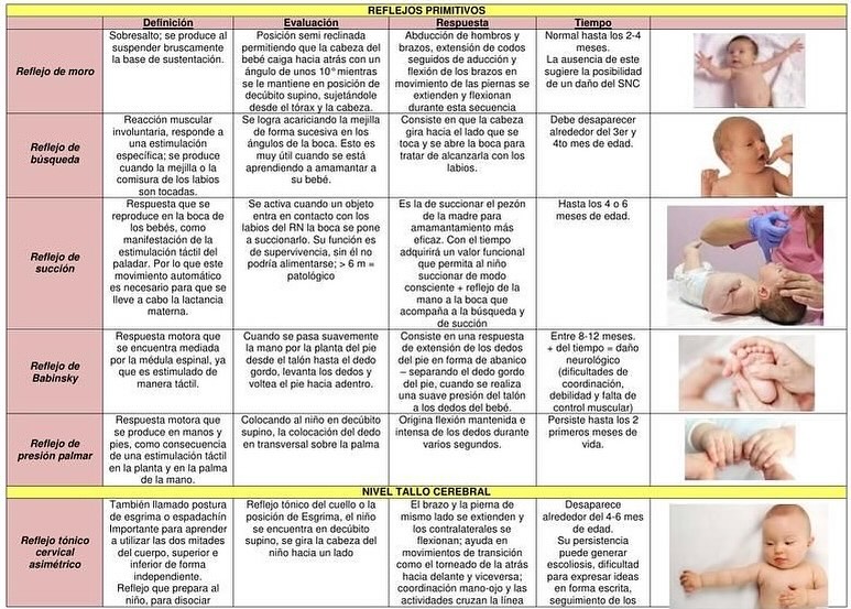 #neurociencias #kailasformacioneducativa #desarrollo #neurodesarrollo