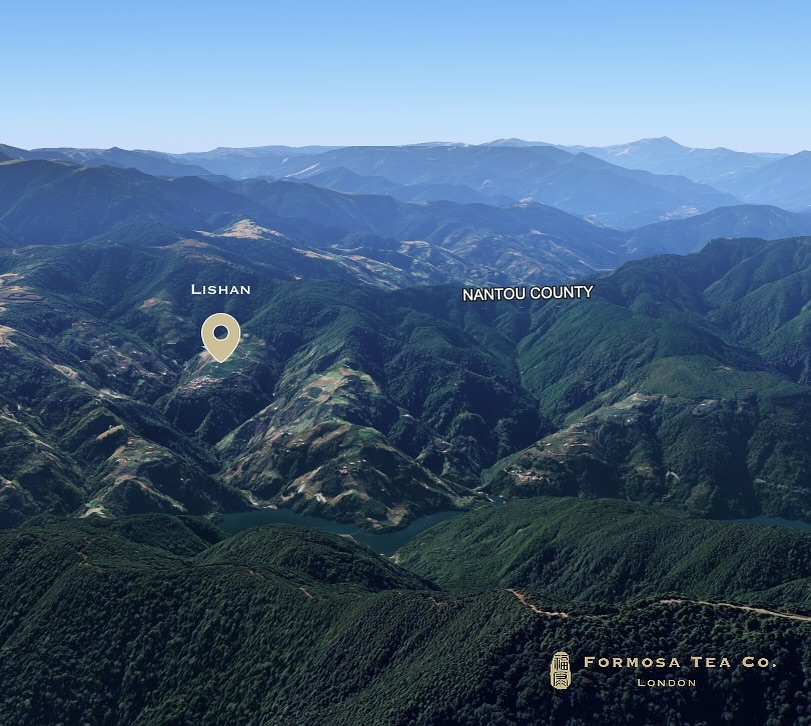 𝑳𝒊𝒔𝒉𝒂𝒏 𝑶𝒐𝒍𝒐𝒏𝒈 — 𝑹𝒂𝒓𝒆, 𝑹𝒆𝒇𝒊𝒏𝒆𝒅, 𝒂𝒏𝒅 𝑰𝒏𝒔𝒊𝒅𝒆𝒓-𝑺𝒆𝒍𝒆𝒄𝒕𝒆𝒅 🍃
Lishan, one of Taiwan’s most celebrated high mountain tea regions, sees just two harvests a year — spring and winter.
As with any natural produce, weather conditions can present real challenges. This winter has been one of those years — with yields reduced to nearly half of a typical season. In times like this, quality can vary dramatically from one estate to another, making the procurement process even more critical.
That’s why our team is on the ground during harvest — tasting and selecting from multiple estates, evaluating each lot before it’s even completed, to ensure we secure only the finest batch for our collection.
Our curation of Lishan Oolong is a triumph of nature and craft — elegant, layered and true to its mountain origin. We’re proud to share a high mountain oolong that truly lives up to its name.
#LishanOolong #HighMountainTea #TaiwaneseTea #FormosaTeaCo #CuratedWithCare #RareTea #OolongLovers #TeaInLondon