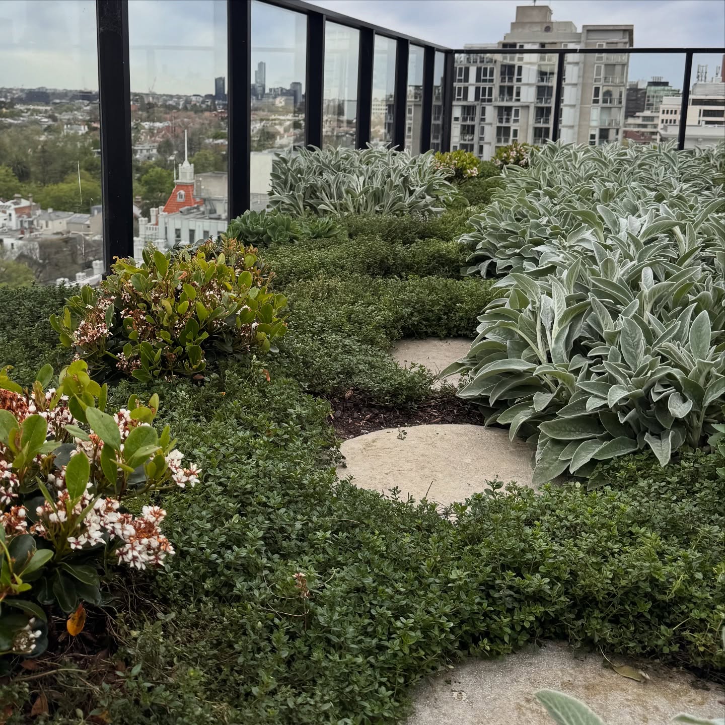 Bet you wouldnāt expect to find this lush green pathway up on a Melbourne rooftop - but itās real