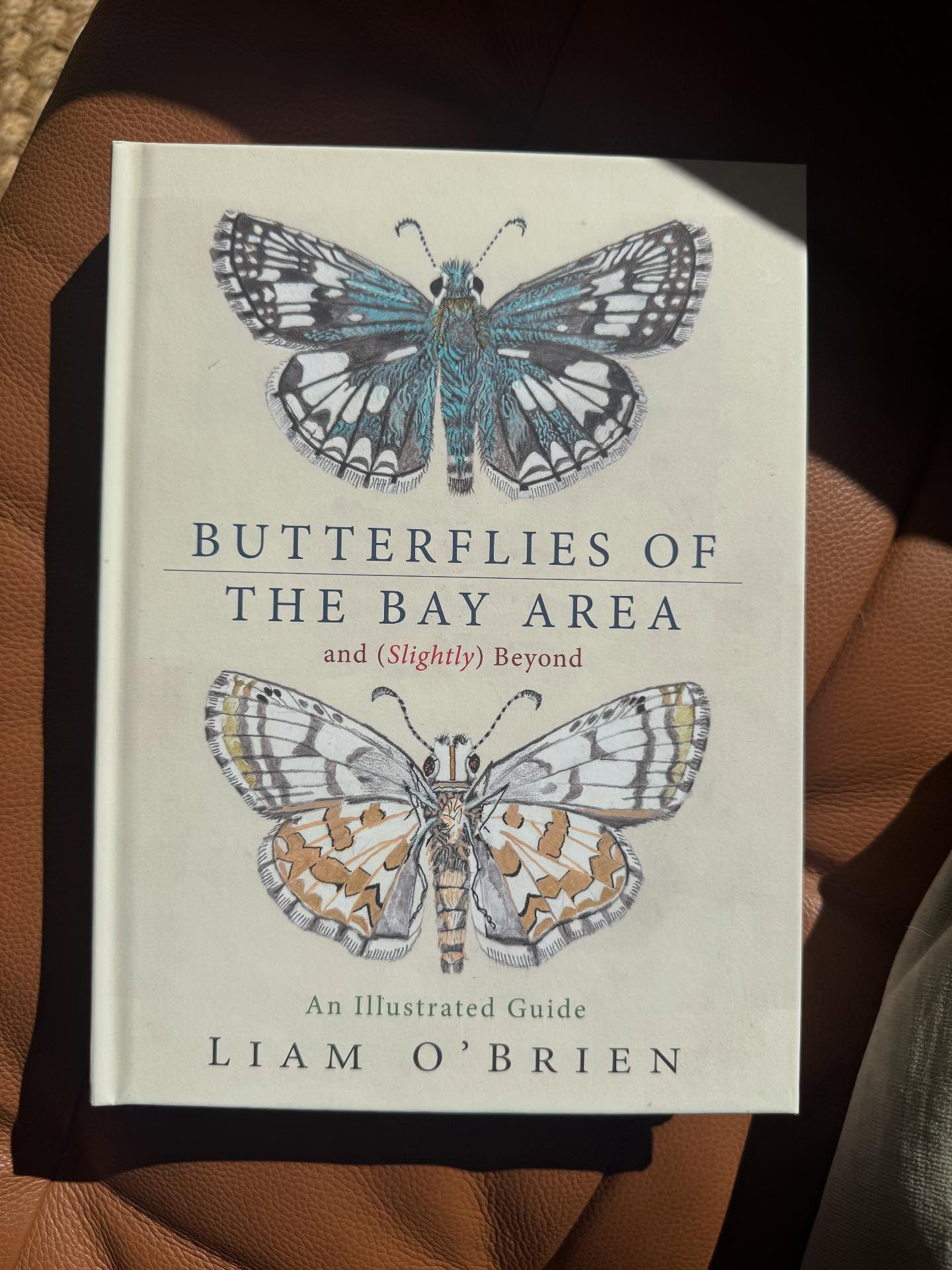 Hello Garden Friends, I've been taking some time off after shoulder surgery and I'm itching to get back to gardening! In the meantime, I'm catching up on some great reads and getting excited for winter projects. Thanks to voice-to-text, I can still share updates with you all. Look forward to posting more soon! This is my newest book which was inspired by my time sitting out in the garden while I recover and seeing lots of butterflies. It’s beautiful and informative and I can’t wait to dig in more. 🦋 I hope you all are well xoxo