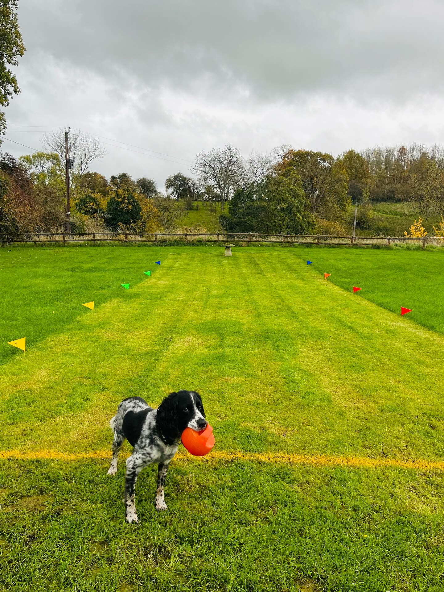 Final inspections of the ‘Badger Roll Arena’ are under way…
JOIN US Saturday Night for our BIG Village Bonfire 🔥 & Badger Roll 🦡 All Welcome.
https://www.facebook.com/share/1FjLUYnUrD/?mibextid=wwXIfr
