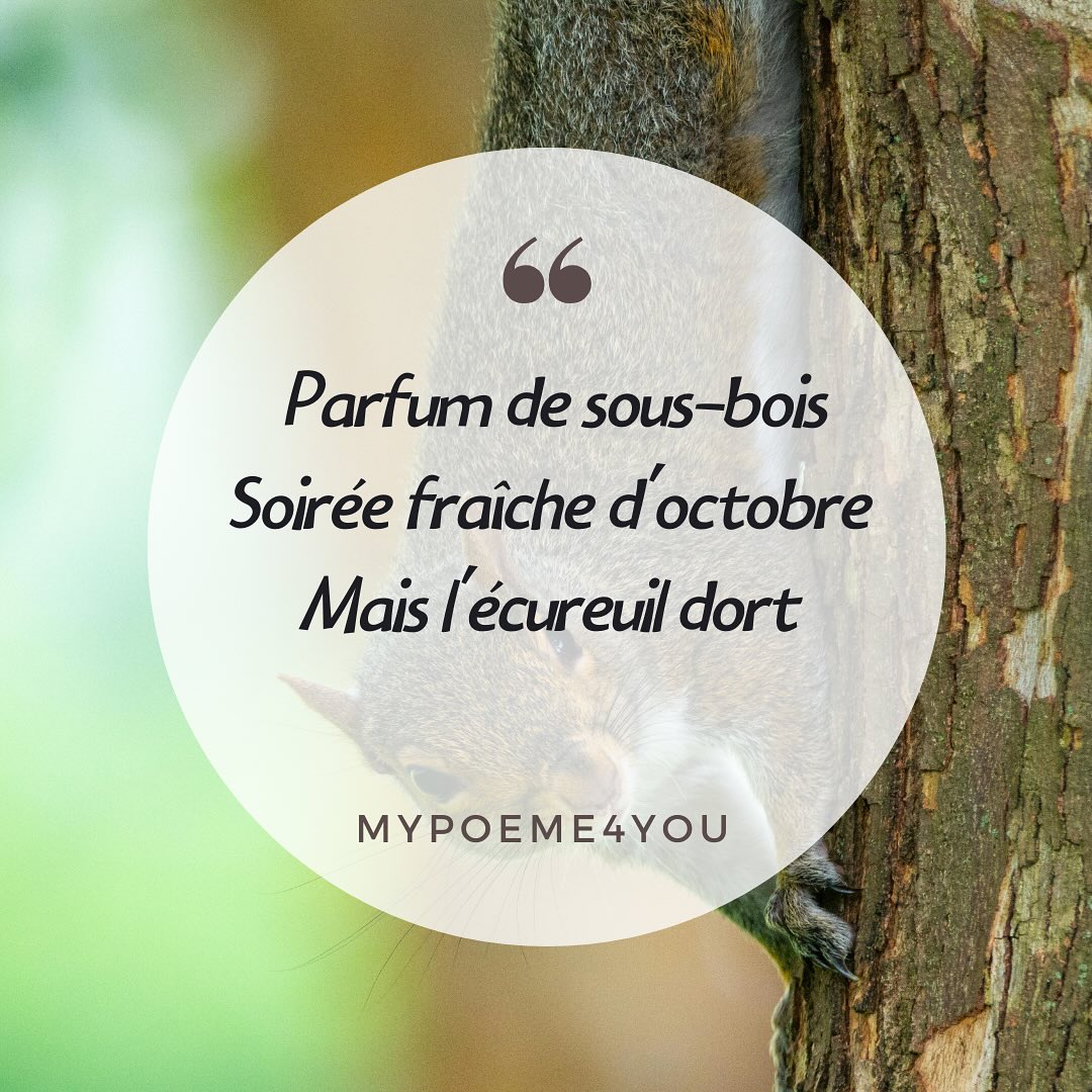 Hello tout le monde, de retour après quelques années d’absence. Vous m’avez écrit, je suis là à nouveau 😊 il y a du changement ici 😁 j’ai perdu quelques 300 abonnés mais on s’en fiche, le but est ailleurs 👍🏻