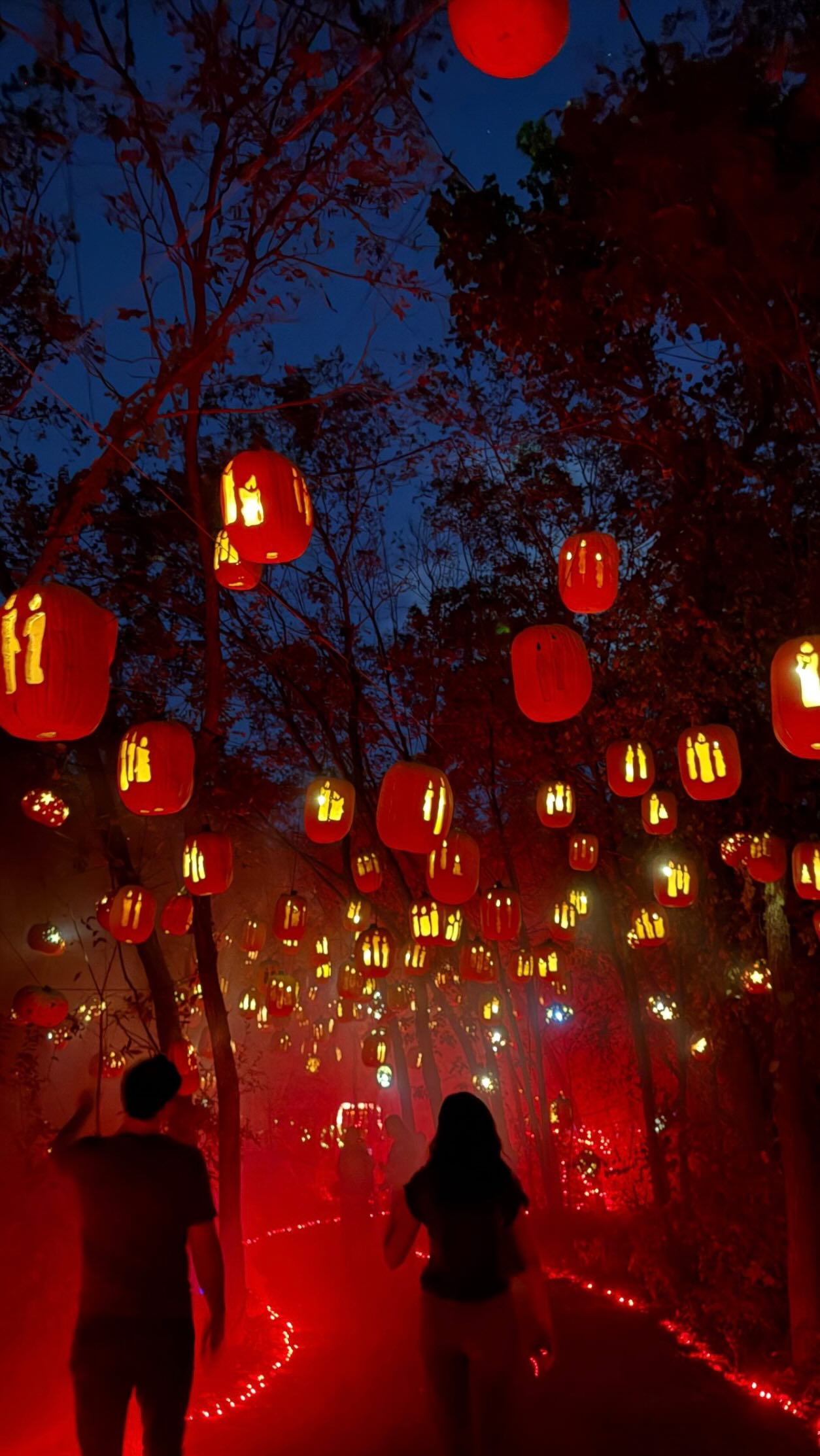 I’m behind on my spooky posts (I know Halloween is over but it’s never too late to post)!
I went to @pumpkinnights with some friends and it was so cool! Each section of the pumpkin trail was a different theme and there were plenty of photo ops throughout. It was open from September 18 to November 2, so definitely check it out next year!
.
.
.
#TrueAustin #spookyseason