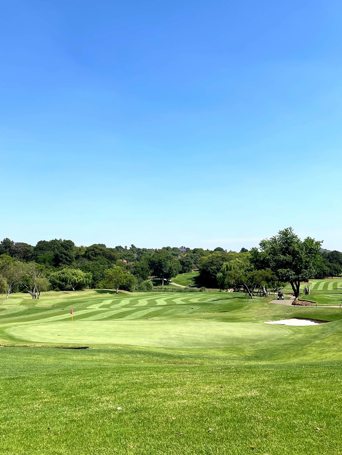 @randparkgolfclub the course is looking 👌🏻ready for the Sunshine Tour Stella Artois Players Championship. 13th - 16th November. #sunshinetour #professional #worldclass #fyp