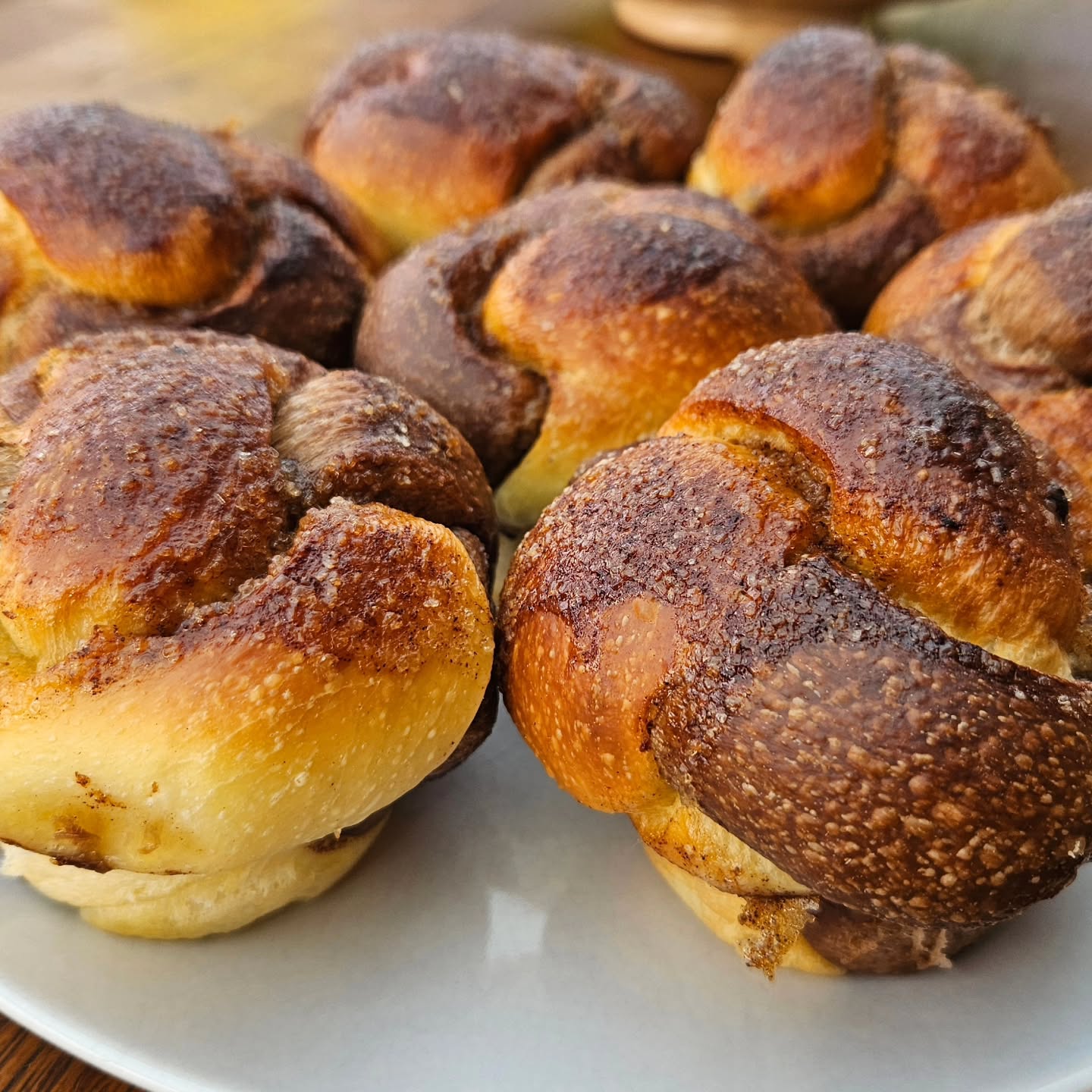 Brioche muffin twists fresh out of the oven — soaked in a warm salted-butter, brown-sugar & cinnamon bath that makes the whole kitchen smell like magic ✨
Soft, swirly, a little indulgent, and fully embracing that Friday vibe 🌀
#sourdough #briochemuffins #briochetwist #bakedbythevarga #fridayvibe #fromscratch #homebaker #butterlove #cinnamonrollvibes #bakersofinstagram #slowfermentation #comfortbaking #instabake