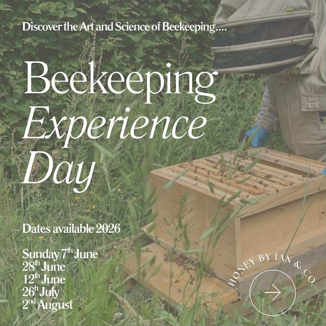 Looking for a unique Christmas gift? 🌟 We’ll guide you through an incredible beekeeping adventure from start to finish.
Spend a full day with us, learning the secrets of honey-making, getting hands-on with our hives, and experiencing something totally unforgettable 🍯
No experience needed - just bring your curiosity and we’ll handle the rest. A day packed with fun, learning, and sweet memories ☺️
For more information, drop us an email or message ✉
#beekeepingexperience #beekeepingday #beekeeperslife #beekeepinguk #beekeepingadventure #beekeeperforaday #beekeepingworkshop #christmasgiftidea #uniquechristmasgift #experiencegift #giftideasuk #honeybees #savethebees #beeexperience #beetour #localexperience #sustainablegift #supportlocal #beekeepingfun #ecofriendlygift #outdooradventure #honeylovers #natureexperience #handsonlearning #dayoutdoors #beelove #honeytasting #learnsomethingnew #beehappy #beekeeperlife
