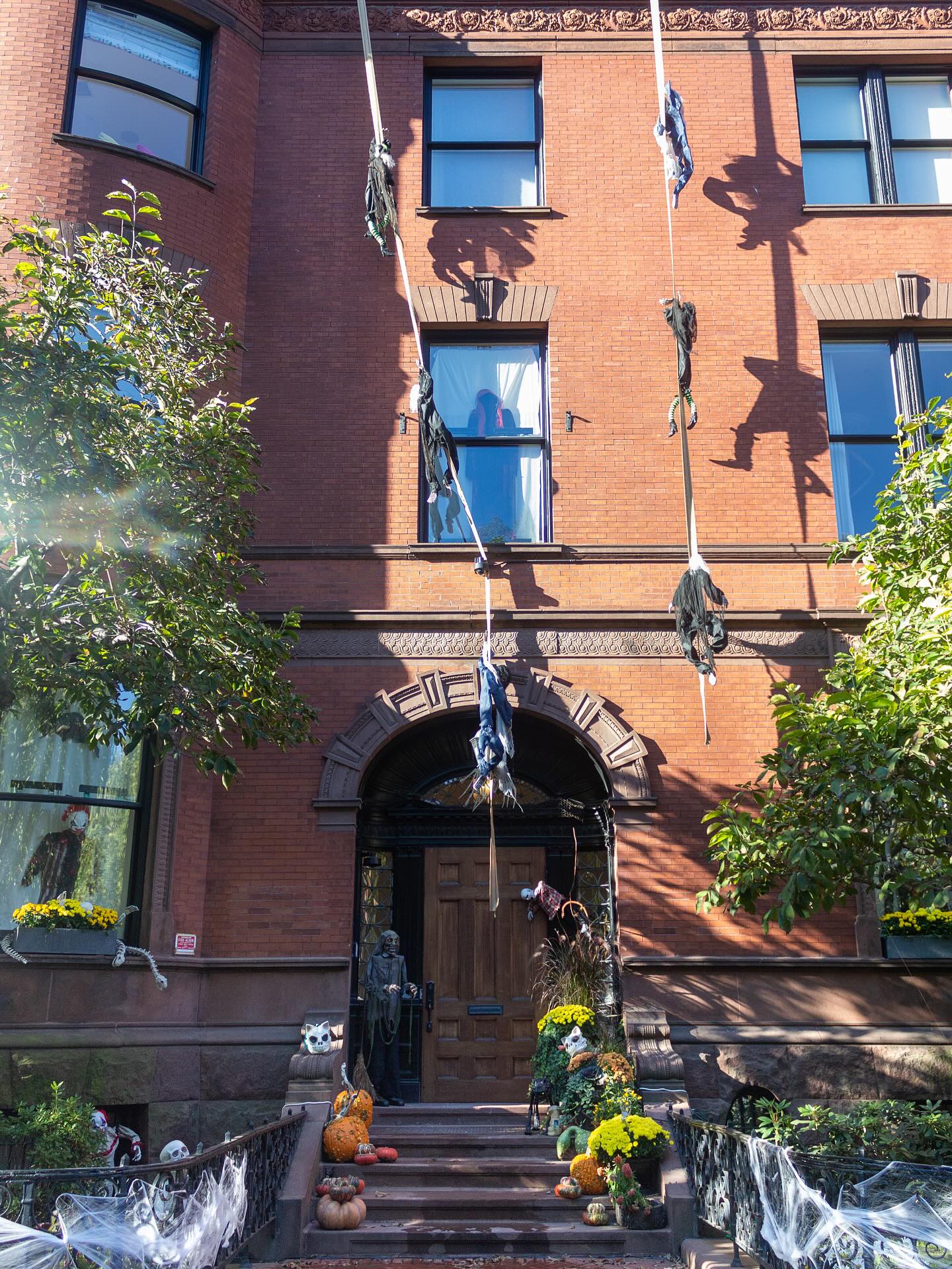 Happy Halloween!! 👻 A spooky installation from previous years - swipe to see what it looks like at night, thanks to our friends at @commonwealth_lighting ✨ Trick or treat! 🎃
.
.
.
.
.
#citygarden #garden #gardendesign #growsomething #gardenlove #boston #backbay #containergarden #gardenstyle #instagarden #landscaping #outdoorliving #outdoordecor #outdoordesign #gardenlife #curbappeal #windowbox #home #bhg #bhghome #bostonhome #rslove #plantlove #igboston #theprettycities #mytinyatlas #halloween #thisishalloween