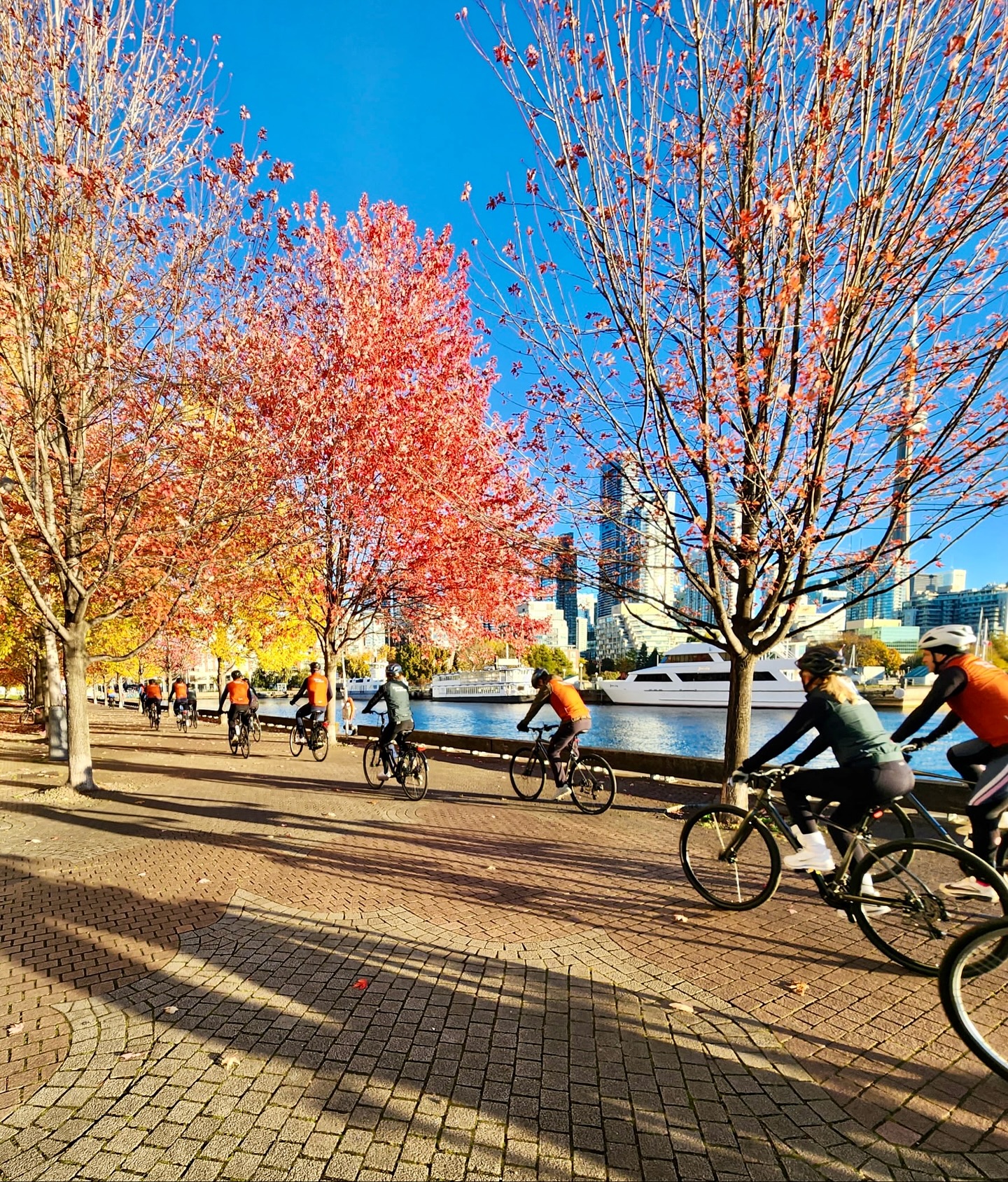 Early mornings, crisp air, and the city just waking up. 🌅 There’s something special about pedalling along the waterfront before the world gets busy - fresh air, laughter, and a rolling meeting of new friends and old colleagues.
Here’s to starting the day with movement, sunshine, and a reminder that the best ideas often come on two wheels 🚲✨
#PedalToronto #BikeTO #TorontoWaterfront #MorningRide #CycleToronto #CorporateWellness #ExploreToronto #TeamBuilding #FallinToronto #IrelandPark #CNTower #InternationalBarAssociation #IBA2025 #CyclingLife #CorporateEvents