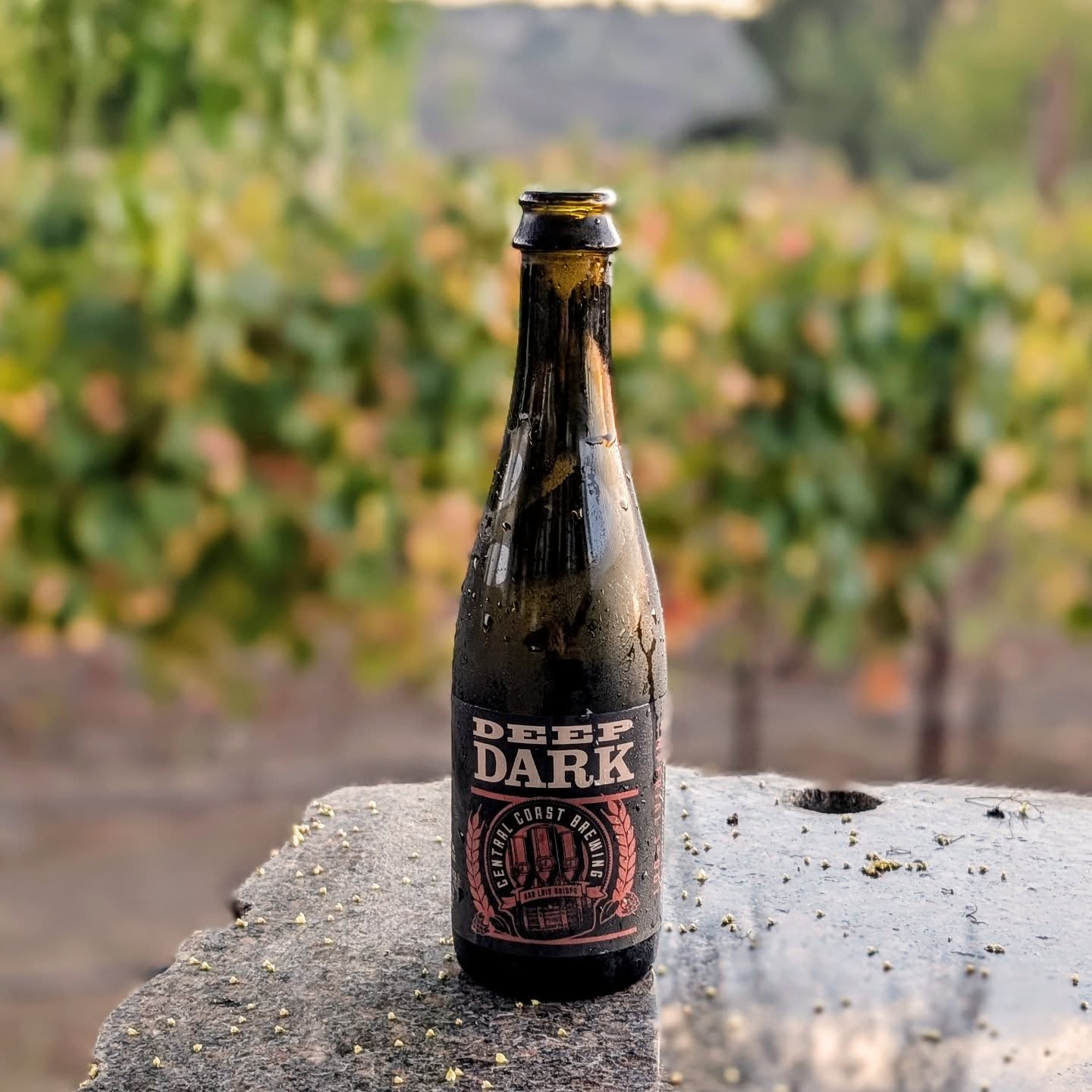 Wow! Saved this for a special occasion. Unbelievable.
#beer #centralcoast #beerlover #beernerd #winery #beerstagram🍻 #slo #ramona