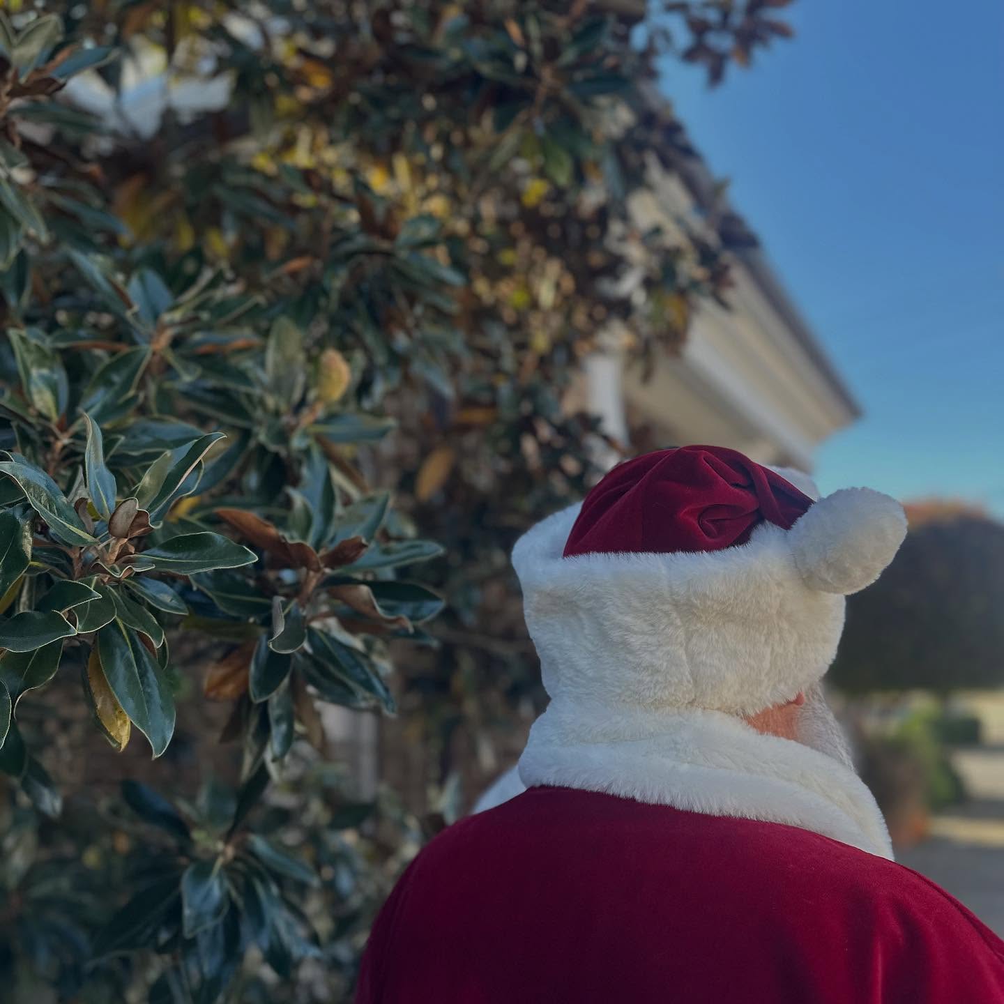 He’s coming to Tennessee… 🎅🏼