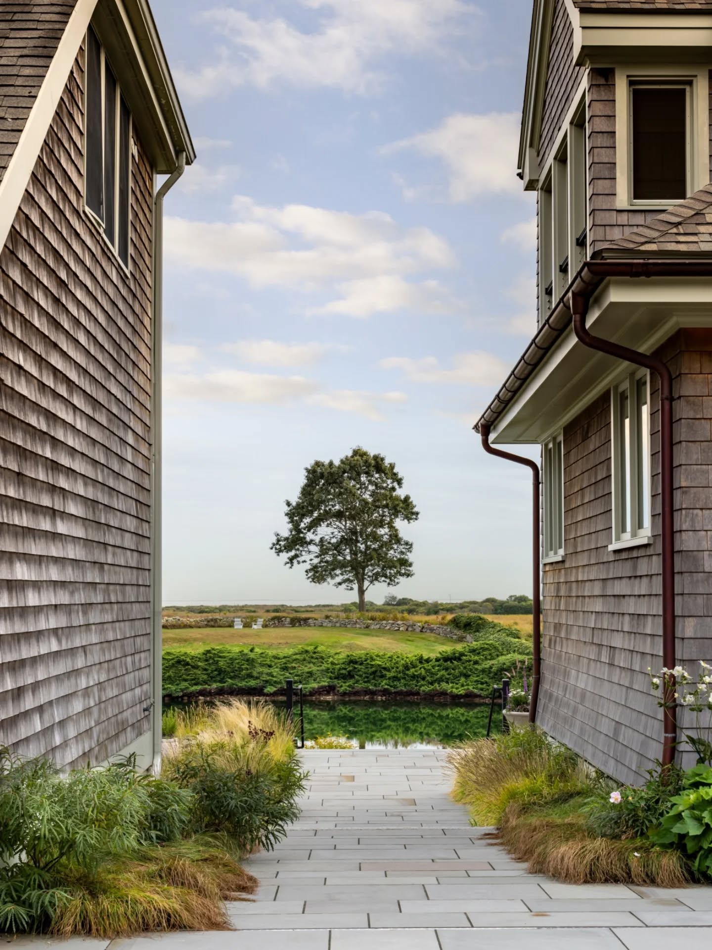 Comptonia, anemone, and varied grasses welcome you to the site, framing the endless layers that fade into the distant landscape
Thrilled to finally share some of the gorgeous photos taken of our Seawatch project, photographed by @amyvischio & on our website now
Architect: @tamaarchitecturepc & Penniman Architects
Landscape Architect: @triplettdesignstudio
Landscape contractor: @landscapecreationsri
GC: Tom Buxton, T F Buxton Ltd
Interiors: @moss_design_ct
#triplettdesignstudio #landscape #landscapedesign #landscapearchitecture #landscapelovers #residential #residentiallandscapes #residentiallandscapedesign #residentialdesign #newengland #coastallandscapes #coastallandscapedesign #terrace #hardscape #hardscapedesign #landscapeviews #coastalviews #backyardviews #landscapelovers #rhodeislandlandscapes #rhodeislandcoast #rilandscapedesign #rilandscapearchitecture #watchhill #westerlyri