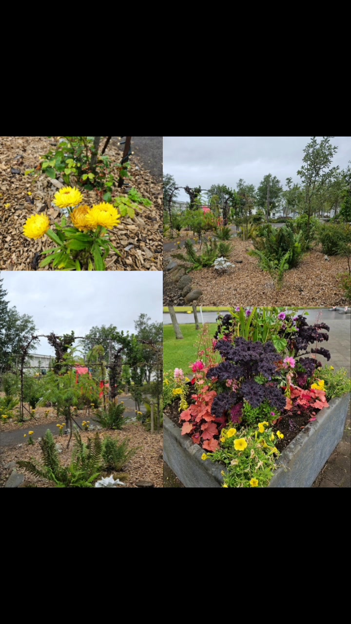 Discover Hveragerði, Iceland’s geothermal gem nestled just 45 minutes from Reykjavík. Known as the “Hot Spring Town,” Hveragerði offers a rare mix of natural beauty, geothermal wonders, and small-town charm. Stroll through steaming hot spring areas, relax in the Reykjadalur hot river, and explore the Geothermal Park where bread is baked in the ground. The town is filled with cozy cafés, local restaurants, art galleries, and hiking trails that lead into the Hengill volcanic area. Whether you’re stopping on the Golden Circle or staying a few days, Hveragerði is the perfect place to experience Iceland’s geothermal heart and authentic local life. SEE YOU SOON! #IcelandNature #VisitIceland #visitHveragerði #southiceland