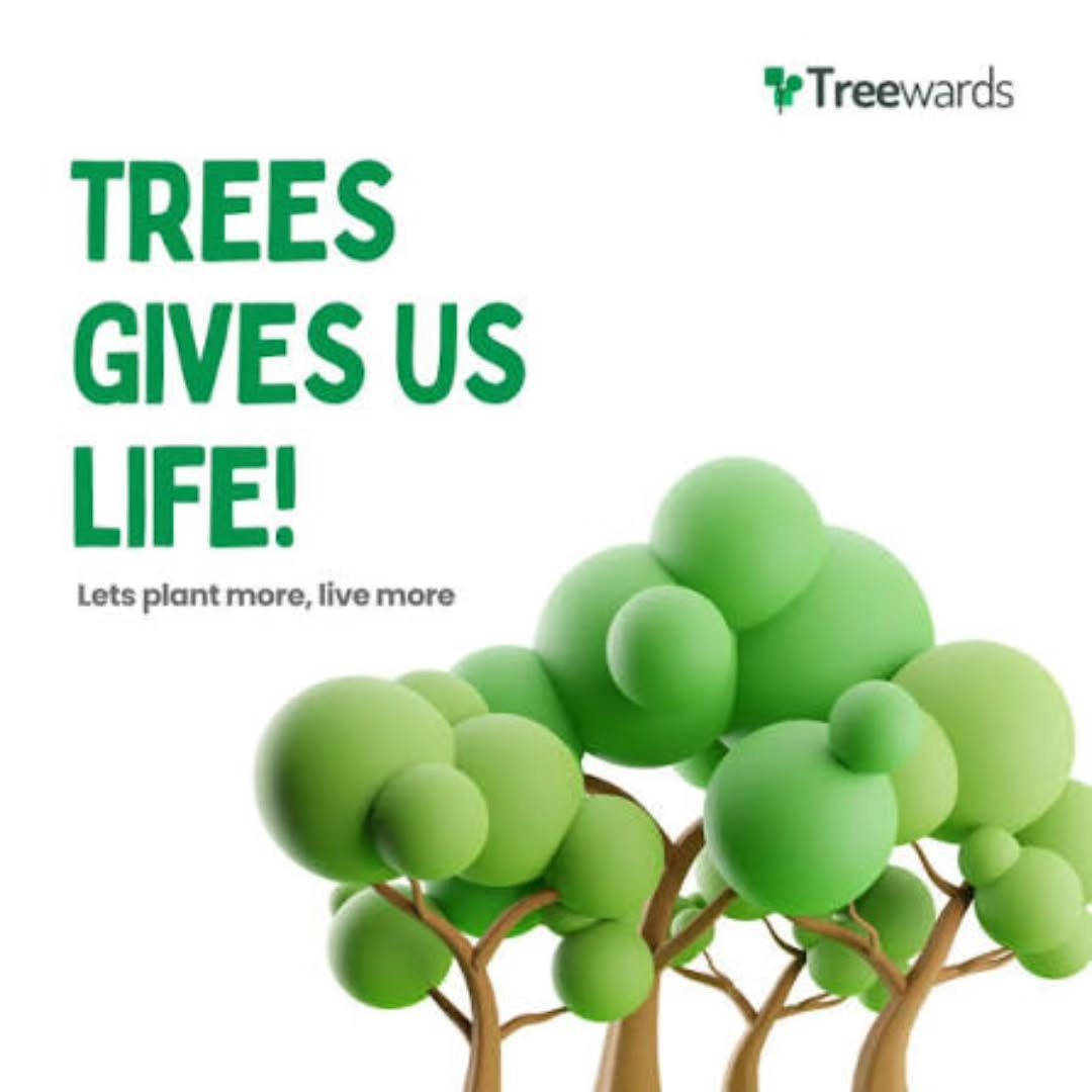 Education is the Root of Change
Change begins with awareness. At Treetrom Foundation, we believe that the first step to healing the earth is understanding it. That is why we are devoted to environmental education, storytelling, and workshops that teach not only how to plant, but why to plant.
Through our outreach programs, we inspire communities to see tree planting not as a campaign, but as a culture of gratitude and love. Each story shared, each lesson taught, becomes a seed of wisdom that grows into action.
Together, let us plant knowledge, so that understanding may take root and grow a greener world.
#TreetromFoundation #EnvironmentalEducation #GreenCulture #AwarenessToAction #PlantWisdom