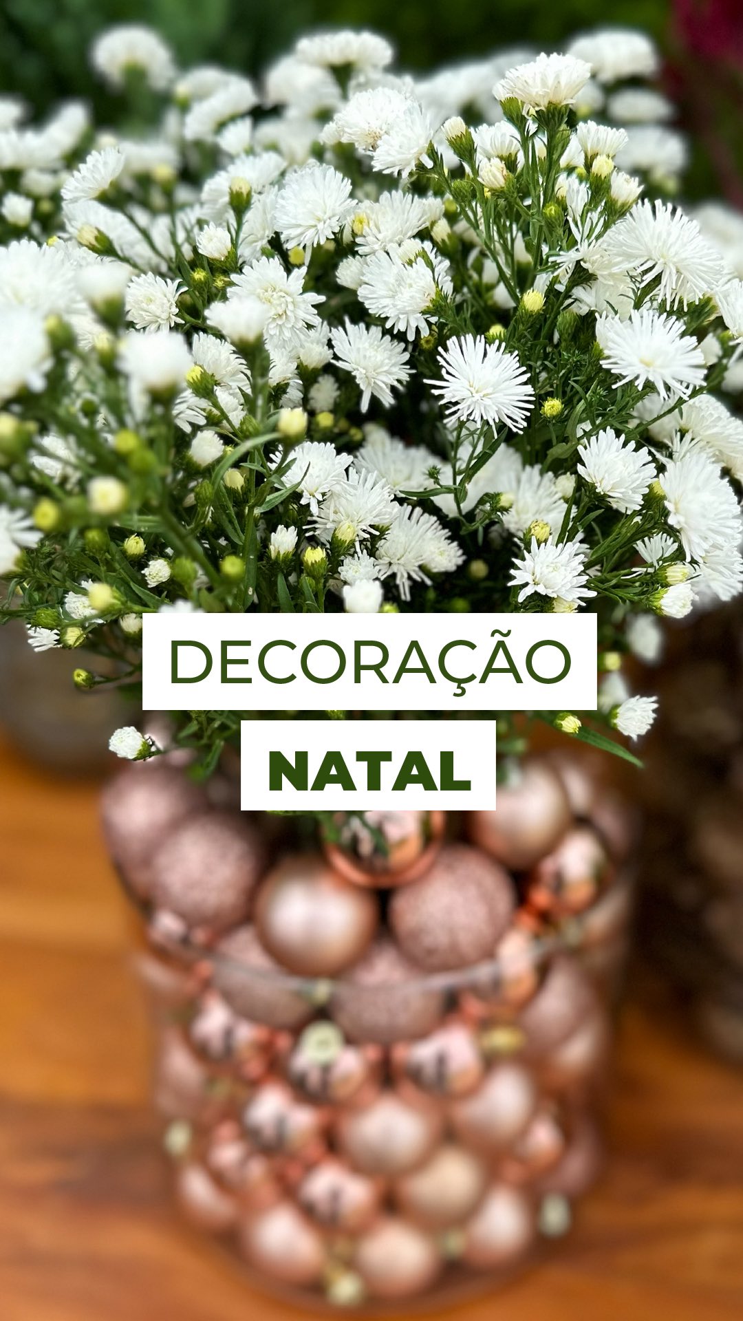 Florindo o Natal! 🎄🌸
Quem disse que só pinhas e bolinhas fazem o Natal? Quando entram as flores, tudo ganha cor, leveza e aquele toque especial de natureza.
É simples, rápido e o resultado encanta qualquer ambiente!
E você, também gosta de usar flores na decoração de Natal?
Conta aqui nos comentários 👇
#decor #flowers #flores #decorações #decoração #natal #natalnatural #natalcomflores #floralnatalino #christmasdecor #decornatalina #floresdenatal #pinhas #aster #celosia #inspiraçãonatal #christmas #christmasideas #christmasidea #astermariana #tuias #tuiasholandesas #tuiastrickta #pinheiro #decorxmas