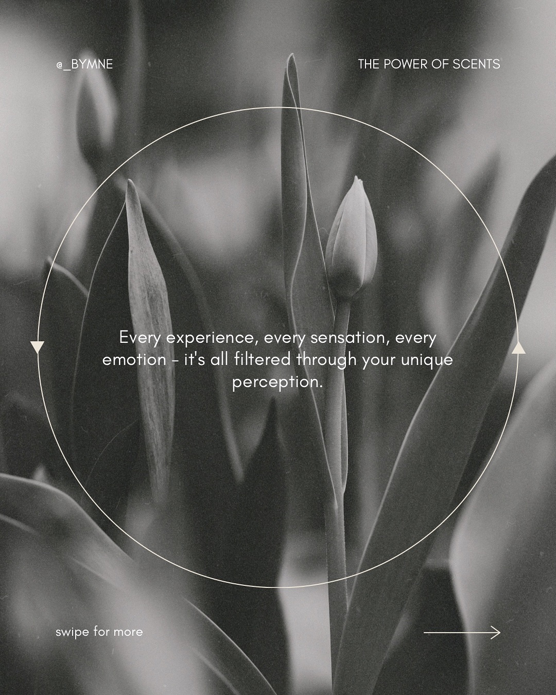 Did you know your reality is shaped by your nervous system? Swipe to learn more about how scents can help you regulate and shift your wellbeing 〰️
#nervoussystem #wellbeing #emotionalregulation #mindsetshifting #bendingreality