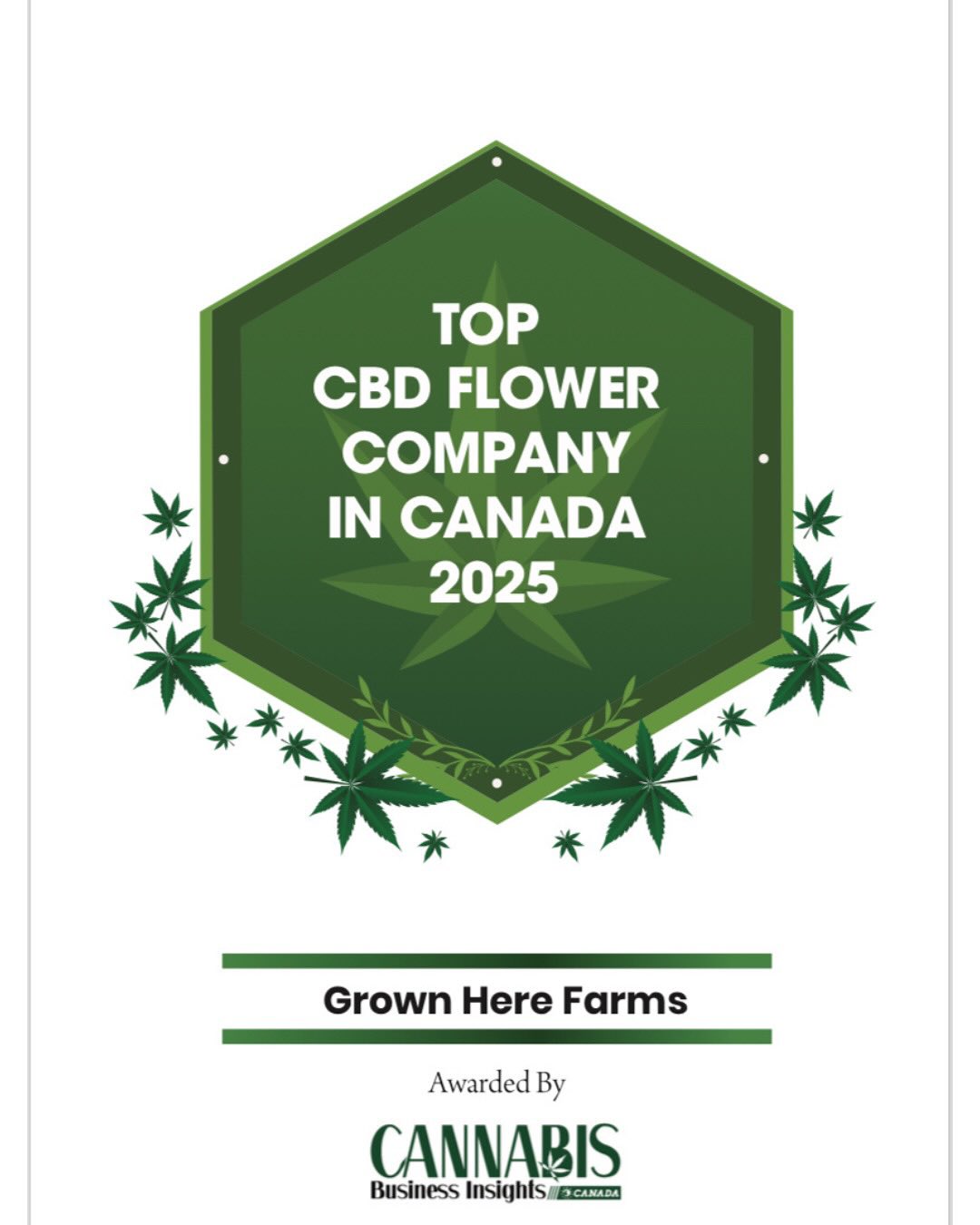 🎉 We Did It! 🎉
We’re honored to be named Best CBD Flower in Canada 2025 by Cannabis Business Insights!
A massive thank you to our incredible team and to every one of you who believes in what we do and has supported our journey. We deeply appreciate you.
Organic. Regenerative. Hand-trimmed. Hang-dried. Never irradiated.
🌿 Grown Here Farms – Pure Plant Medicine, Without the High.
#BestCBDFlower #CraftCannabis #Traceability #PremiumCBD #OkanaganValley #GrownHereFarms #craftcbd