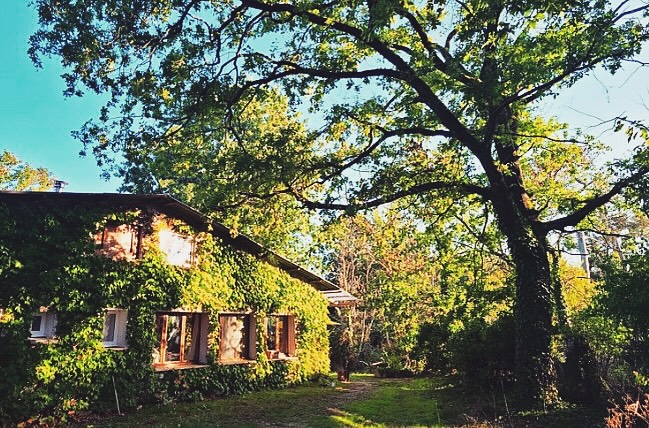 • LE CHANT DES CIMES •
Quand une amie m’a parlé de ce lieu, ça a sonné comme une évidence, j’allais y proposer ma retraite d’automne.
Je les ai appelés et les dates coïncidaient parfaitement avec mes disponibilités.
Notre retraite S’APAISER a pris naissance et il me tarde déjà le weekend du 22 et 23 novembre en plein coeur de la nature.
À 1h de Bordeaux et de Perigueux, une douce parenthèse nous attend 🙏🏼
Il est encore possible de répondre à l’appel ❤️