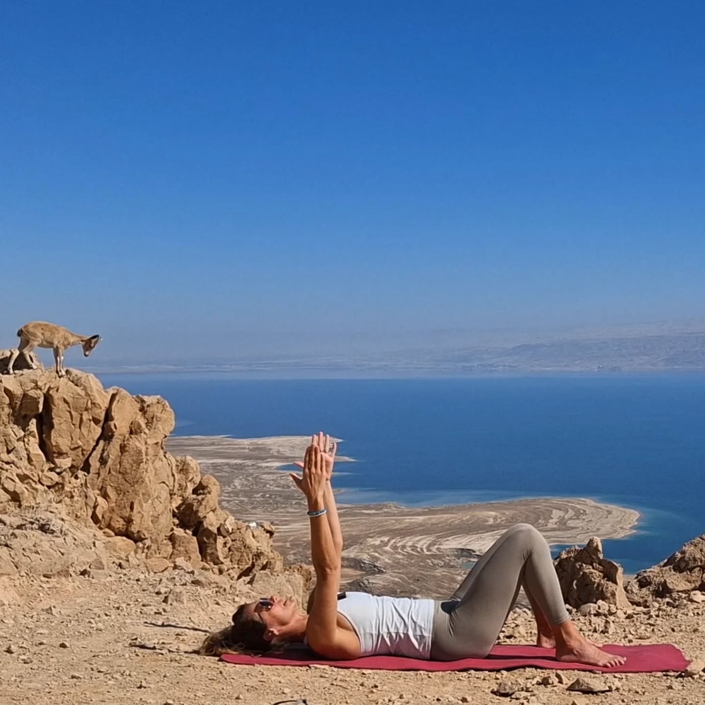 New videos are coming very soon,
Make sure to follow me on my new account @aligned.by.elena, all the professional content will live there from the end of the year.