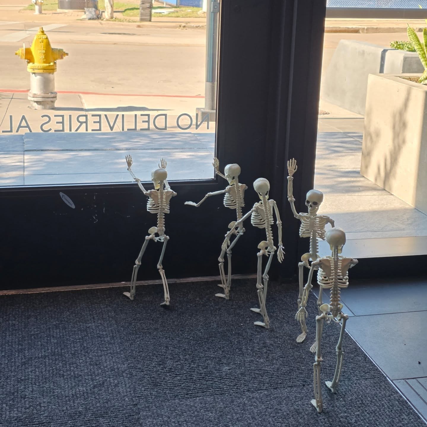 Our seasonal employees didn't work out 😅🫡
#tryagainnextyear #tatcoffeelife #tatcoffee #dallas