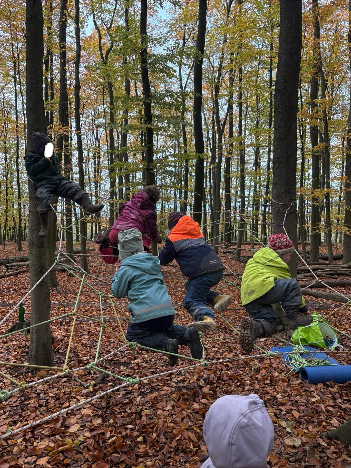 Ob Kletterspinnennetz, Brücken oder Hängematten, regelmäßig bauen wir mit und für die Kinder Gelegenheiten zum Klettern auf die gerne angenommen werden. Wir versuchen Bewegung jeden Tag aktiv in den Alltag der Kinder aufzunehmen und Kreativität mit Gesundheit zu verbinden.