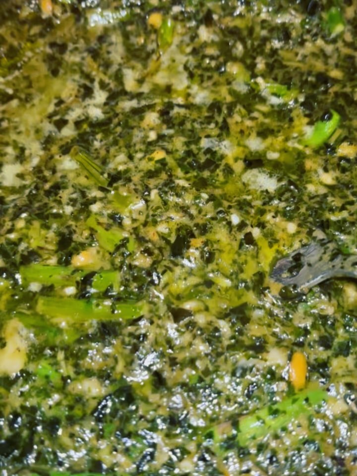 Creamy pesto pasta is on the menu!! ❤️ I made some homemade pesto with olive oil, pine nuts and basil and mixed it with asparagus & vegan Parmesan cheese to create this yummy pasta sauce! Of course, I used gluten free pasta and it was delicious 😋
#veganeatswithbri
#veganeats
#creamypasta
#dairyfree
#veganfood
#veganpasta
#pestopasta
#creamypasta
#richmondfood
#veganandglutenfree
#homemadefood
#rvavegans
#rvavegetarians