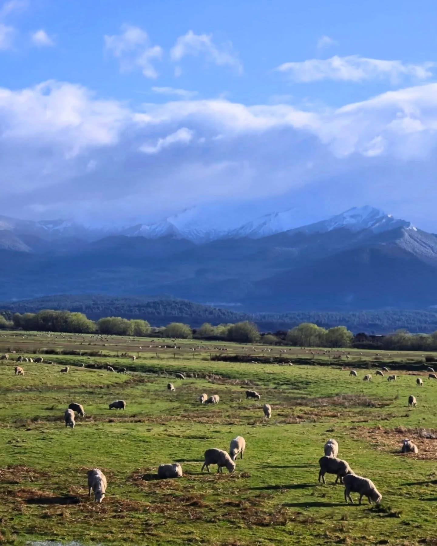 יהודית ויעקב המקסימים סיימו את הטיול שלהם בניו זילנד ואנחנו לא יכולים להישאר לעצמנו את התמונות שהם שלחו לנו לאורך הטיול!
היה לנו כיף לפתוח כל בוקר עם תמונות וסרטונים של המקומות הכי-הכי-הכי יפים בעולם, ומעל הכל - לראות אותם נהנים בטיול שלהם :)
למרות שספטמבר זו עונה קצת מאתגרת, היה להם המון מזל עם מזג האוויר ועם כמה שפחדנו שיהיה להם גשם 100% מהזמן, הם קיבלו המון ימים שמשיים ויפים ופשוט חוו כל רגע - מהנופים המדהימים ועד לפינות הקטנות שמלאות קסם. גם כשהיה מעונן או גשום הם ראו את הטוב בהכל והצליחו לנצל את הזמן שלהם בניו זילנד הכי טוב שרק אפשר.
בשבילנו זה היה כיף ומרגש לקבל את התמונות שלהם, להתכתב איתם במהלך היום ולשמוע חוויות ובעיקר לראות את השמחה בעיניים שלהם ולהרגיש שאנחנו חלק מהחוויה הזו. בדיוק בשביל רגעים כאלה אנחנו עושים מה שאנחנו עושים.
ברוכים השבים יהודית ויעקב, היה לנו תענוג להיות חלק מהמסע שלכם בניו זילנד!
.
.
.
#ניוזילנד #טיסהנעימה✈️ #אוהביטבע #נופים_עוצרי_נשימה #מטייליםבעולם #תכנוןטיולים #תכנוןטיוליםבהתאמהאישית
#newzealand #newzealandroadtrip #newzealandfinds #newzealandguide #newzealandtrip #newzealand🇳🇿 #newzealandtravel #nzroadtrip #nz #travelnewzealand #tripplanning #explorenz #visanewzealand #discovernewzealand #purenewzealand #bucketlisttravel #adventureawaits #worldexplorer