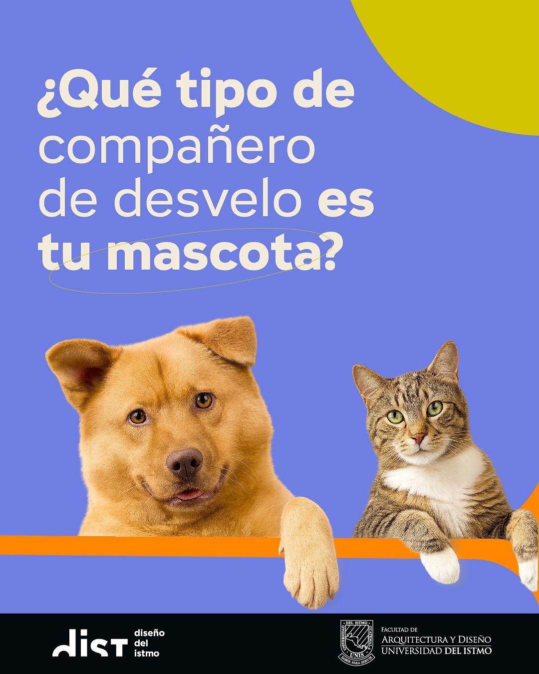 Todos los roles tienen algo en común…. Tus mascotas siempre están para ti, como @supercan.msa y @supercatgt están para ellos 🐾🐶🦴🐈 Menciona que tipo de compañero de desvelo es tu mascota!!✨