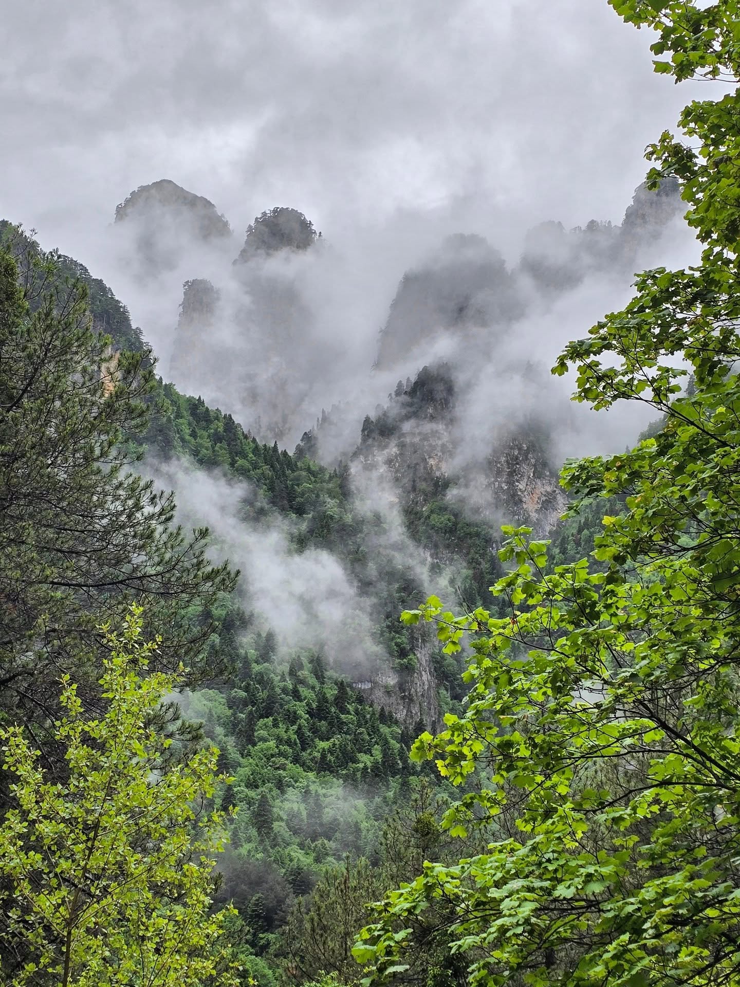 🎃 Eye of newt, toad’s breath, whiskers from a black cat 🕷️🐈⬛🧙♀️🕸... we’re not brewing a witch’s potion, this is simply the magic of Greek nature at play!
Happy Halloween and may nature’s little creatures bring some magic your way tonight! ✨🌿
.
.
.
.
.
.
.
.
.
.
#nefelinineretreats
#hikingadventures #hikinggreece #greekhiking #yogaflow #yogainnature #yogajourney #outdooryoga #naturetherapy #hikingadventures #adventureawaits #naturelovers #ecotravels #streettopeak #greecevacation #greekislands #travelgram #instatravel #optoutside #hikeandbreathe