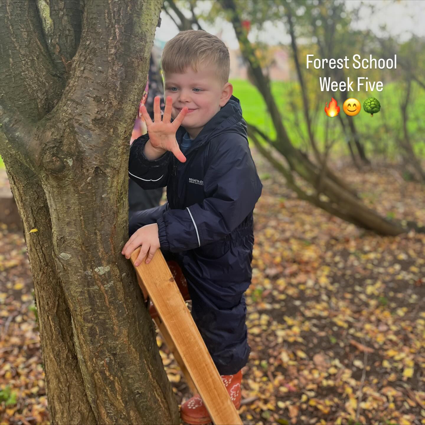 This week, we’ve wrapped up our first term of Forest School sessions!
We’ve had a fantastic time exploring the outdoor areas, helping the children build their strength, confidence, and imagination!😊
Today, we learned how to safely roast marshmallows over the fire and then enjoyed delicious s’mores together as we sat around the fire!🔥
We also loved making potions, climbing trees, using different swings, and playing hide and seek. The children were all so well-behaved, using manners and sharing items when needed!!
We’ve had such a great time!😁
#crowsonwaycarousel #eyfs #forestschools #carouselforestschool #play #outdoorplayarea #muddyoutdoorlearning #eyfsactivities #carouselnursery #funlearning