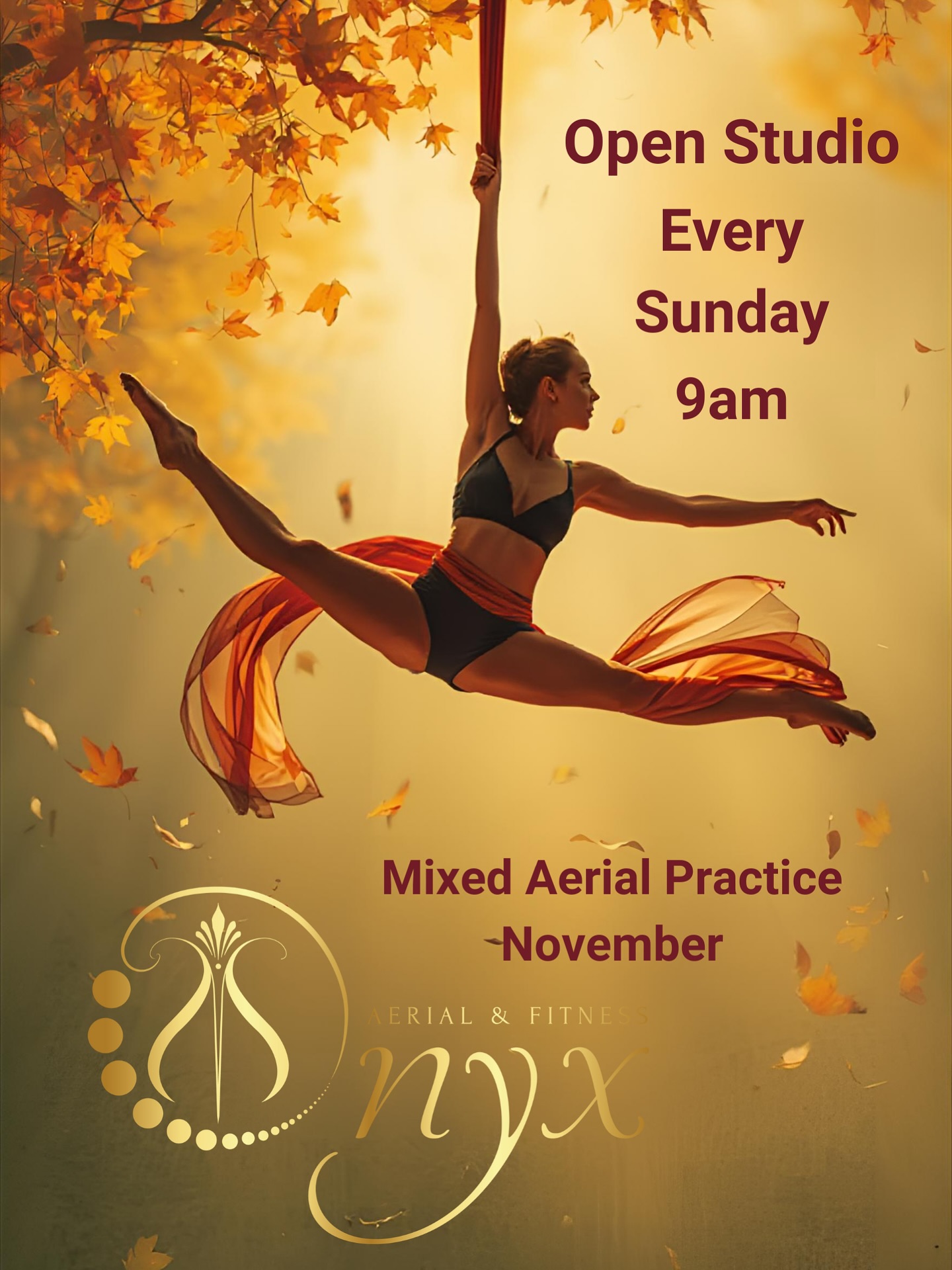 MIXED AERIAL PRACTICE
@ashburtonarts
Choose your discipline
Every Sunday morning 9am
Throughout November
Prepare routines. Practice skills. Flexibility training. Socialise with our community!
Book now via our website.
*an instructor will be there for support during every class*
🍁🍂