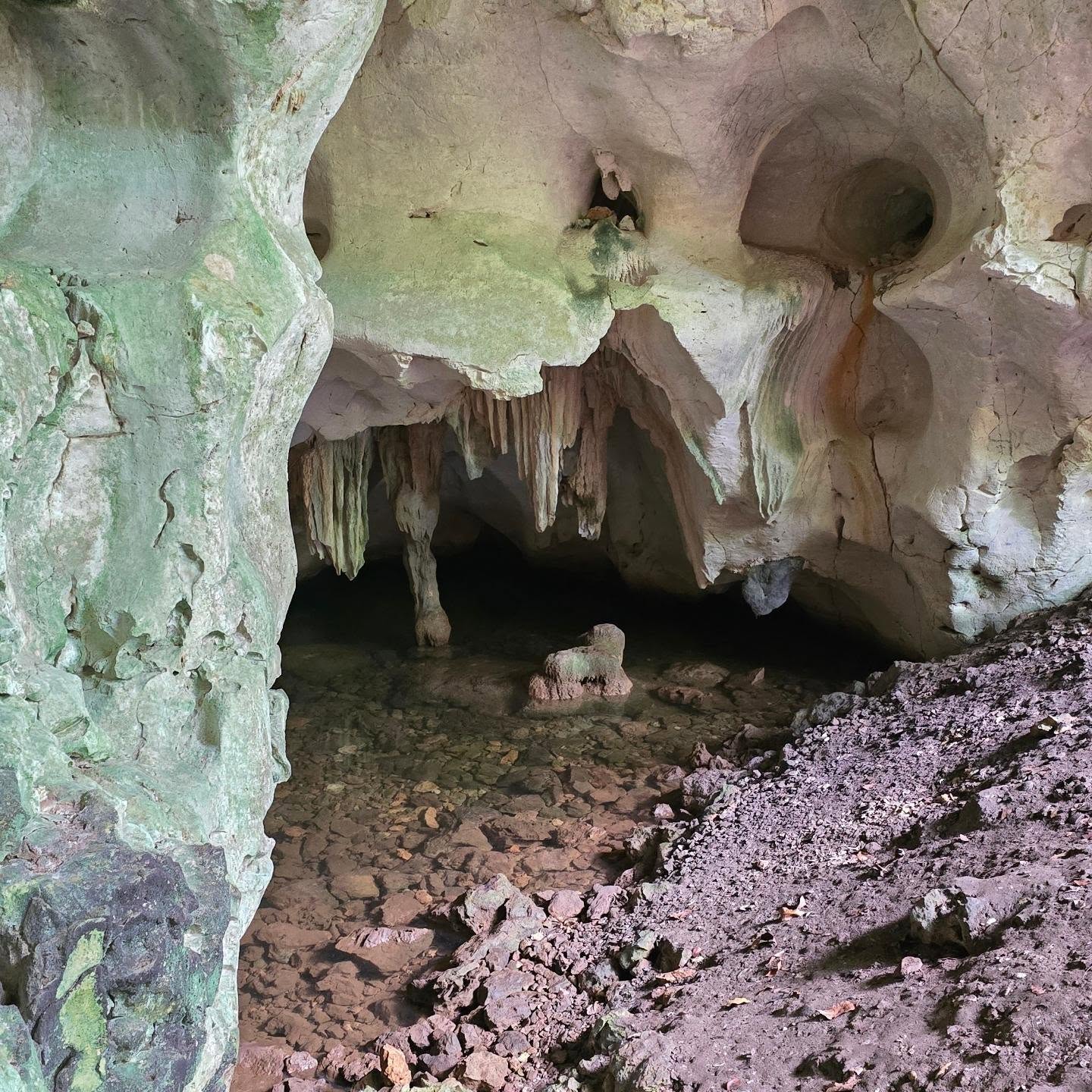 Inside Los Haitises with a 4 caves tour and new discoveries. Enjoy this unique visit.
#BestVacationsEverDR #samana #PuertoBahia #marina #yacht