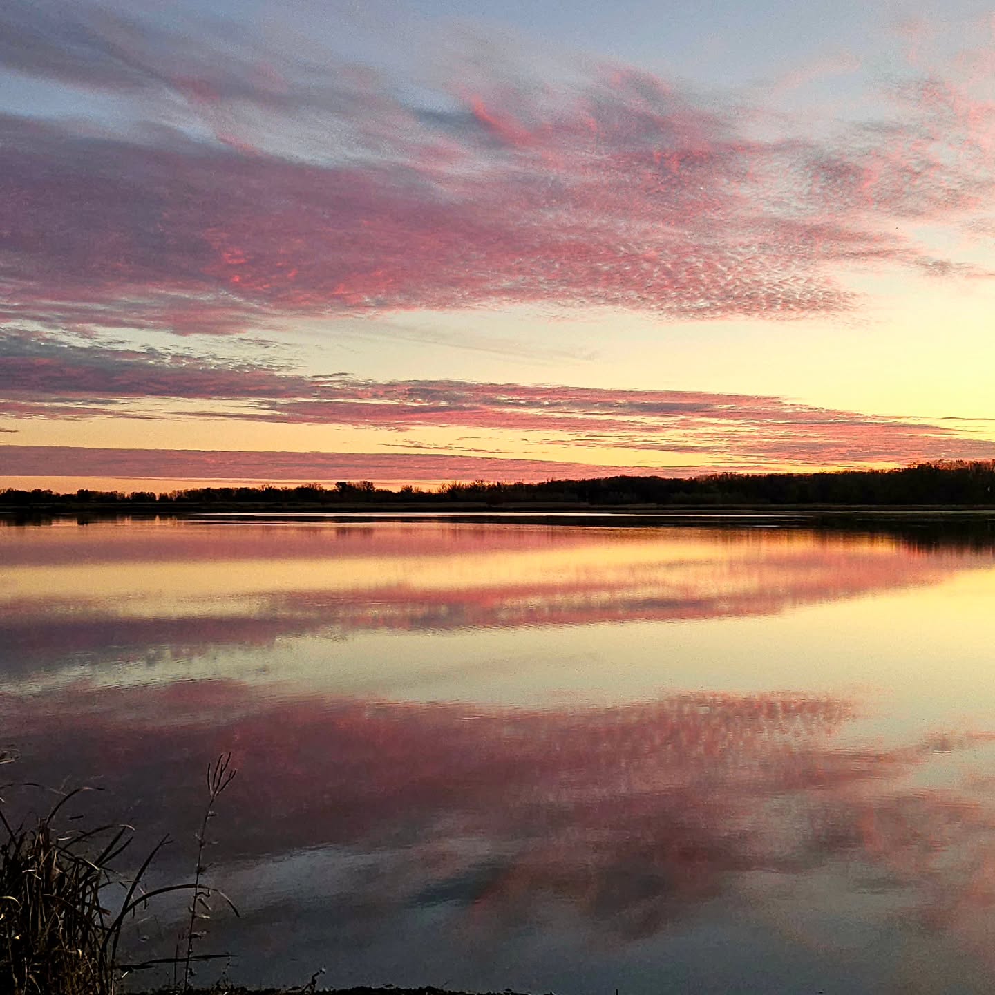 Stunning dawn reflections in Saginaw County, Michigan
#puremichigan #purejoy #dawn #reflections_super_pics #reflections #water_brilliance #sunrisephotography #sunriselover #kathy_woods_booth_photography #beautiful #onlyinmichigan #fallseason