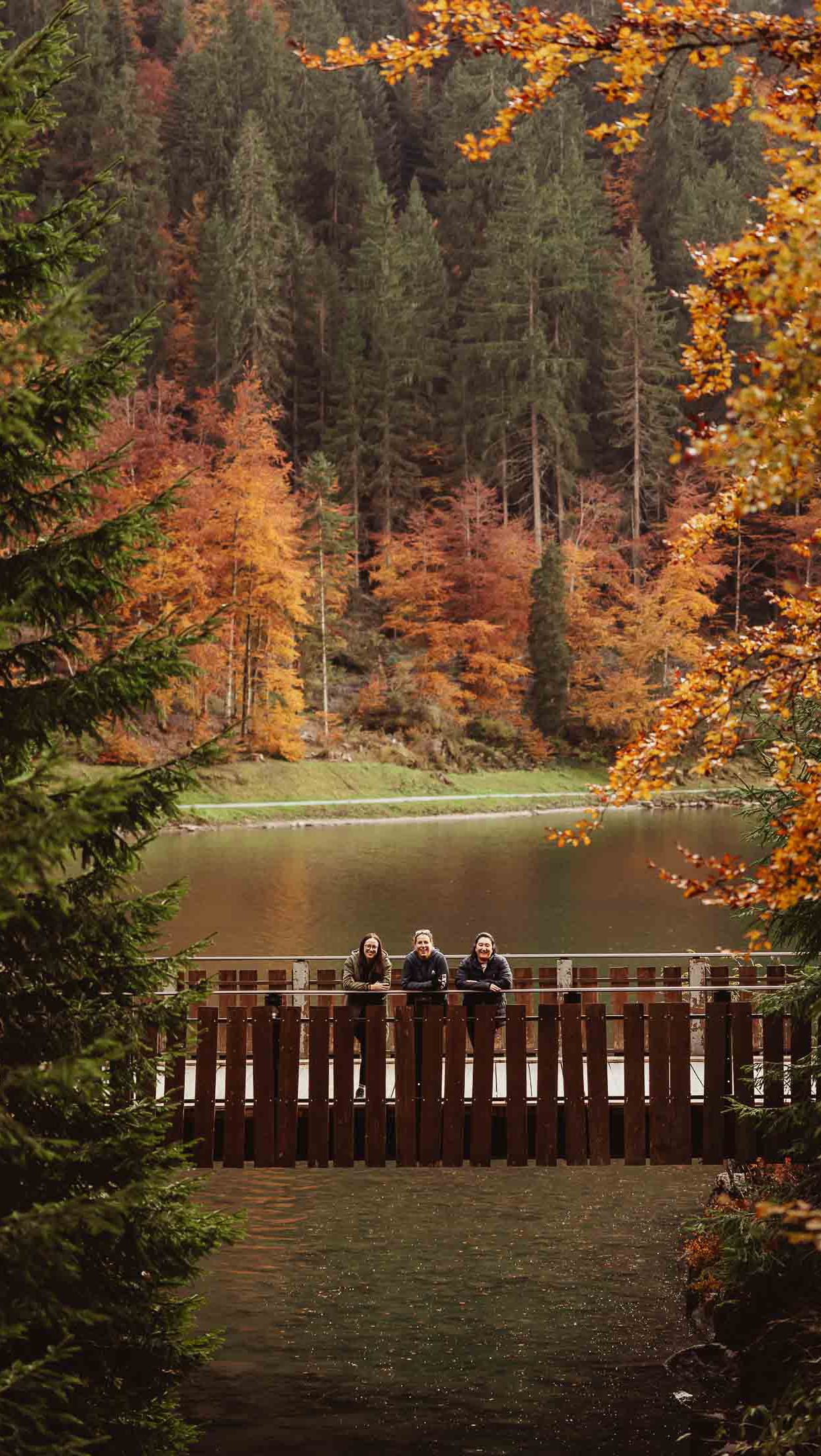 October you were an absolute dream!!
I somehow managed to squeeze in a bit of work in between the three weekends away 🤪
Who says holidays don’t count as a creative recharge hey?!
Did you spot yourselves @hellohoney.photography @onlyolivex @treacledigger @mynameisracheld @teaandcakes1 @craig4589