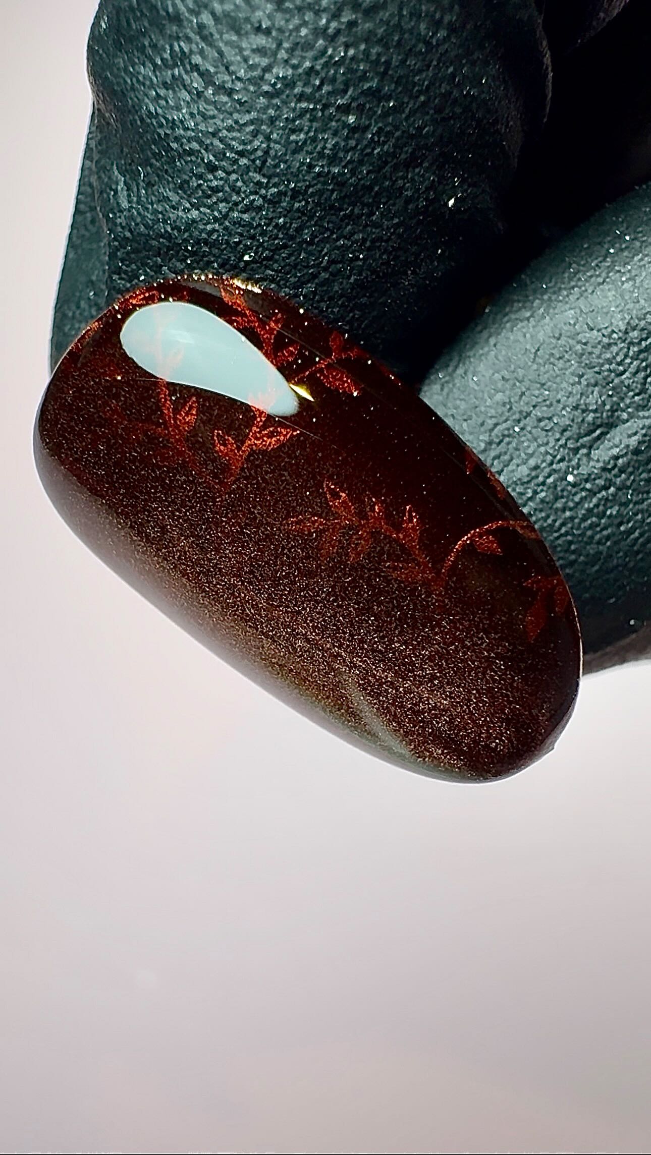 Day 5 of 30 Days of Nail Art
Hidden copper leaves 🥰 Using @homeofnailart Fur Coat cat eye gel polish to achieve this copper look.
#hona #homeofnailart #cateye #cateyenails #cateyenailart #30daysofnailart