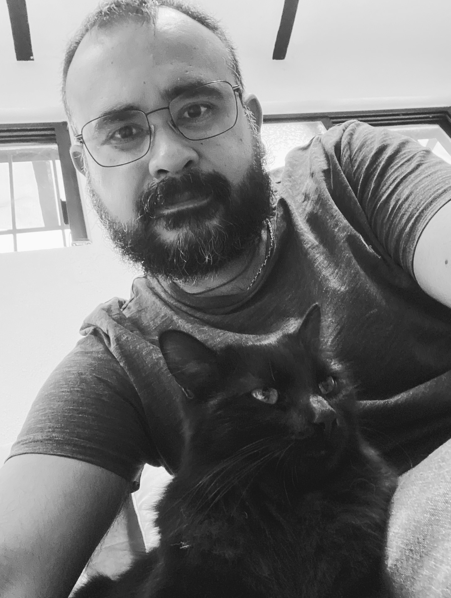 Les deseamos lindo Jalogüin. Otra vez con gato negro.