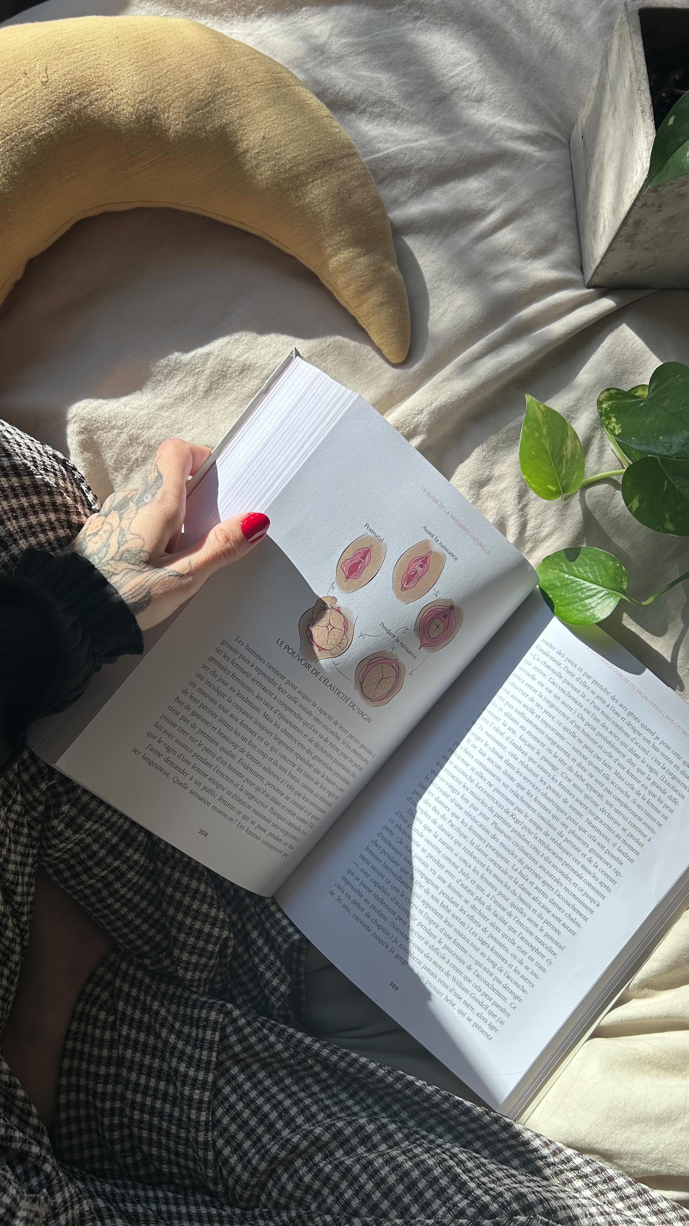 Le lien pour commander ton livre est dans ma bio 🌙
Tu as jusqu’à dimanche seulement pour le trouver sur ma boutique et je te donne 3 bonnes raisons de le commander sur ma boutique :
💜 tu soutiens directement mon travail d’illustratrice (et autrice en devenir 🤭)
💌 des petits présents en plus dans chaque commande
💫 tu as la possibilité de (t’) offrir un coffret avec les cartes Mantras pour se préparer à un enfantement en confiance et en conscience
Un cadeau idéal à (t’)offrir pour se préparer au grand voyage de la naissance et ou à glisser dans ta valise d’accompagnant.e à la naissance 💜🌙
Avec tout mon amour
Océane
Fleure Bleue illustratrice pour prendre soin du féminin dans tous ses passages 🌖
#mamaedition #accouchement #maternite #naissance #postpartum #accouchementphysiologique #accouchementnaturel #naissancerespectée #aad #enfantement #sorciere #doula #sagefemme