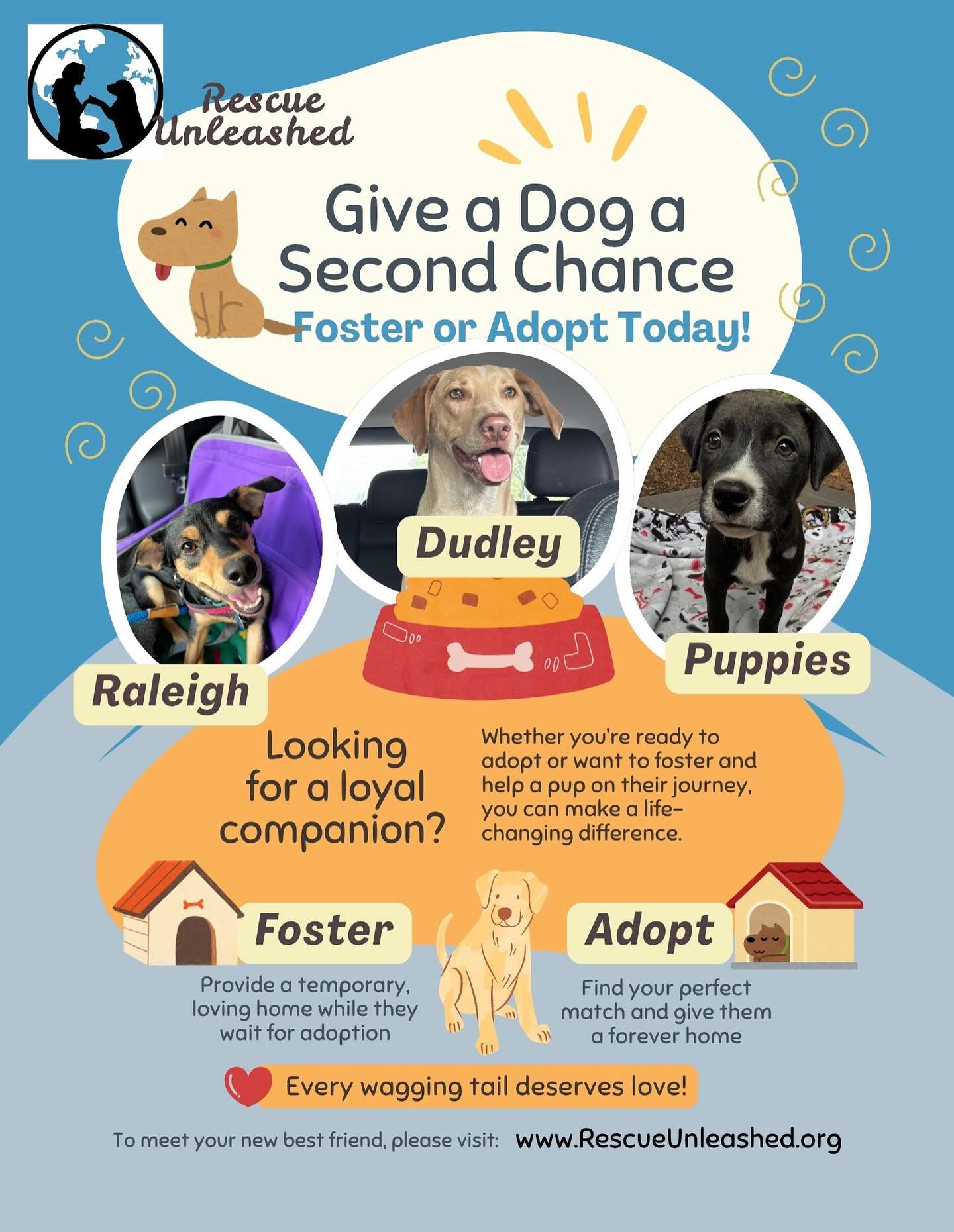 So many pups in need right now! Fosters and adopters needed 🐾🐾🐾🐾
#adoptadog #fosteradog #rescuedogs #homefortheholidays #rescueunleashed #seattledogrescue #Sammamish #MillCreek #Snohomish