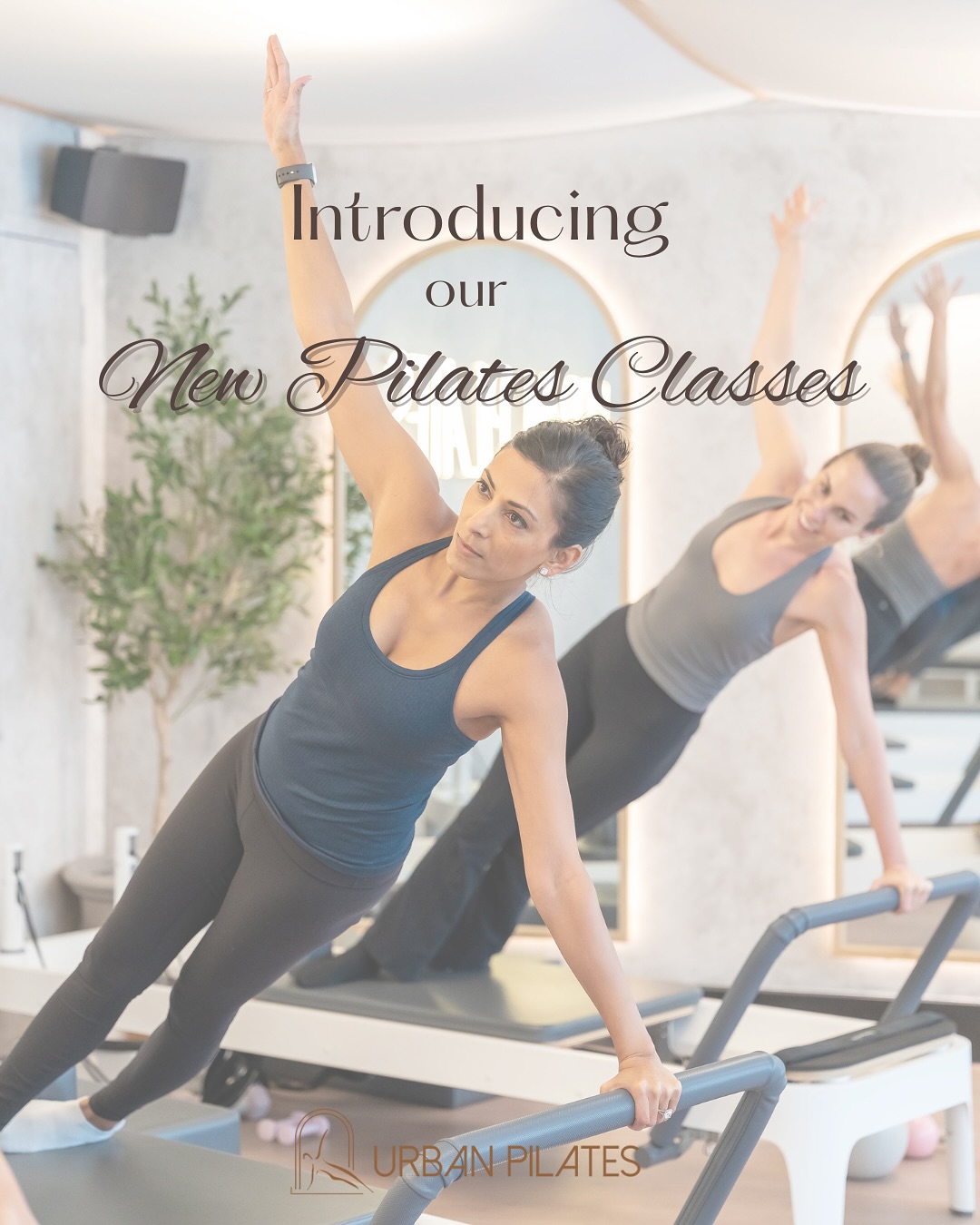 🌸 We’ve added fresh new classes to keep your body challenged and your mind inspired!
Discover our latest Pilates classes designed to help you strengthen, stretch, and restore.
Ready to try something new? Let’s move! 💪🧘♀️
#pilates #reformer #matpilates #northsydney #fitness #urbanpilates #strength #pilatesreformersaustralia #pilatesreformer #pilatesstudio