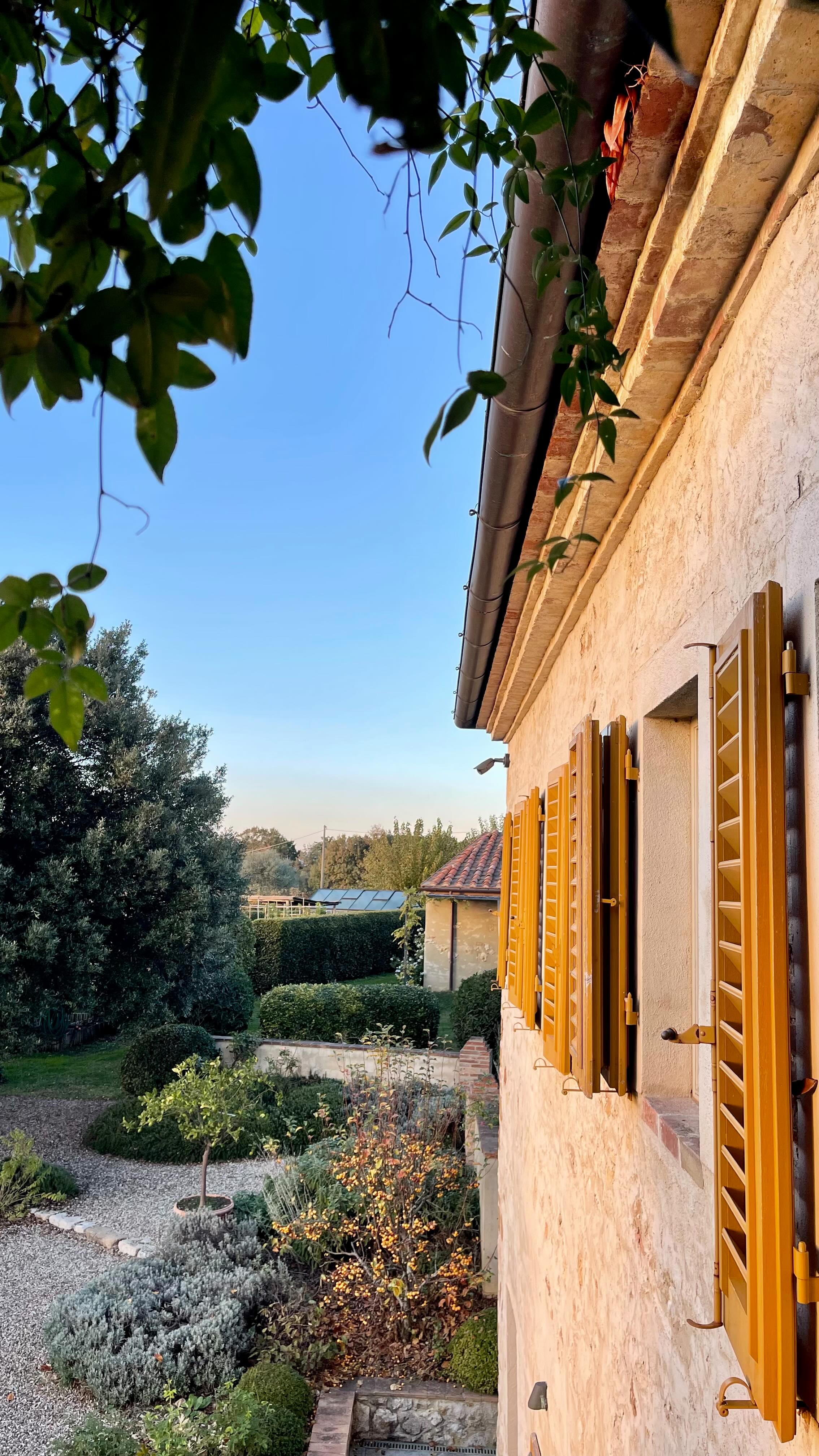 A day at L’Oliveto begins softly —
with morning light shining in the room, birds singing,
and energy that’s filling you with warmth.
The hills outside are already glowing.
A breath of fresh countryside air, a moment to read —
and the day is starting gently.
We enjoy these days in the garden, harvesting winter vegetables and time for cooking.
Feel the art of slowing down.
#slowliving #tuscany #retreatvenue