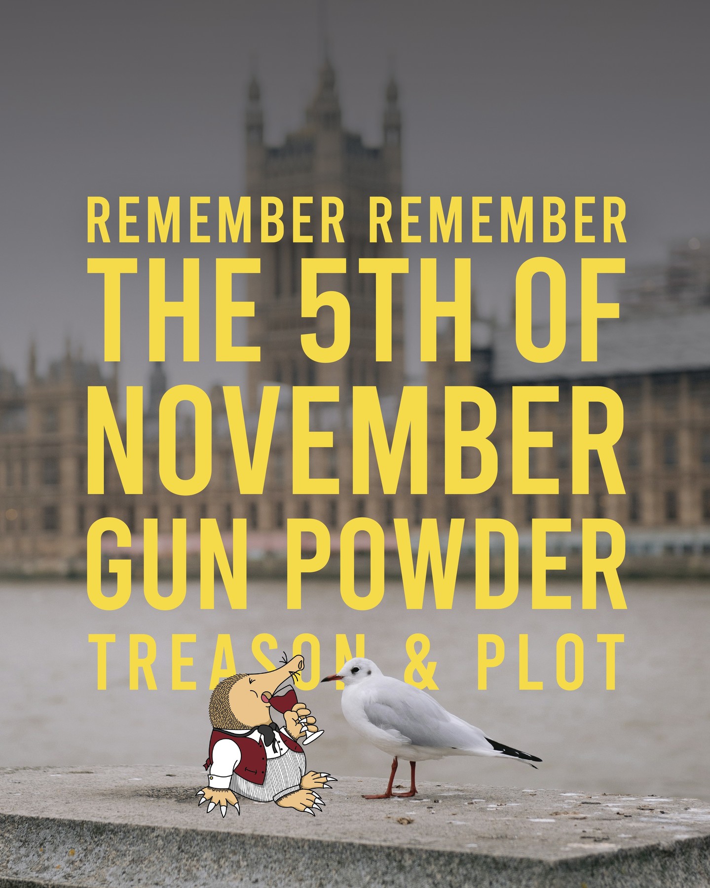 Remember, remember the 5th of November, gunpowder, treason and plot; for there is a reason why gunpowder and treason should ne'er be forgot 🎆
Who's excited for the bonfire in Brockham this weekend? We can't wait to see you all ✨
#grumpymole #thegrumpymole #bonfirenight #brockham #brockhamevents #fireworks #celebration #gunpowder #treason
