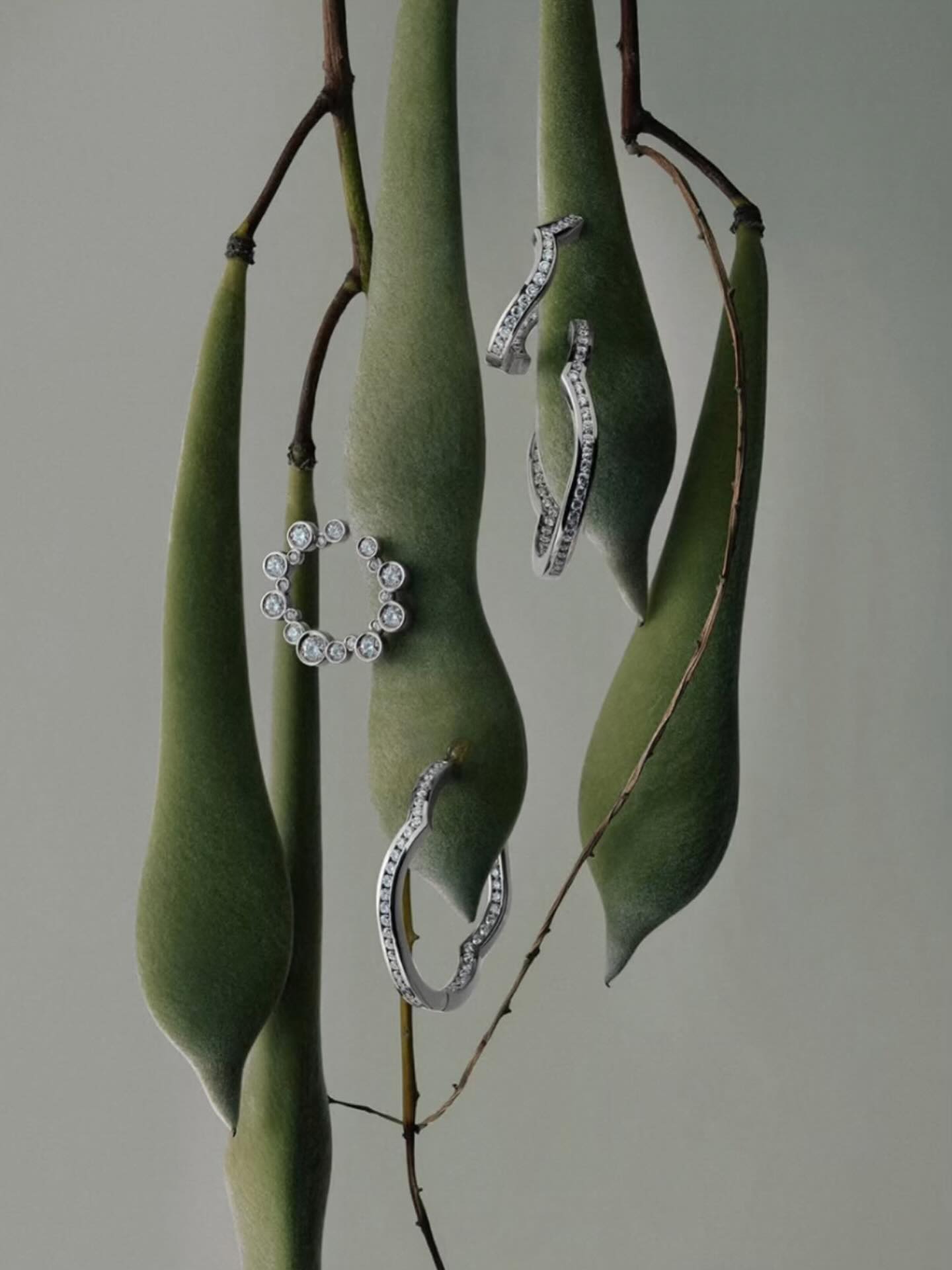 📸 @nicolasbruni_com
Client: @cherituelle
Concept & styling : @andreaevamaurer
Postprod: @lorenzwahlpostproduction
#creativityitsthefuelofhumanity