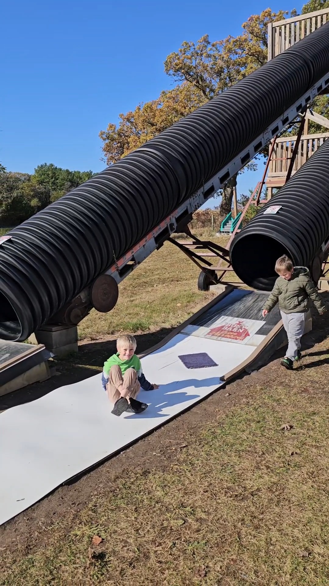 From free family farms to full-day adventures, there’s something for every crew at Wisconsin Pumpkin Patches! Visit my blog for the FULL GUIDE!
Follow @4TicketsToTravel for more!
👉 www.4ticketstotravel.com/blog
🍂 @thelittlefarmerwi – Malone / Fond du Lac
🍂 @busybarnsadventurefarm – Fort Atkinson
🍂 @waldvogelsfarm – Juneau
🍂 @ebertsgreenhouse – Ixonia
🍂 @bassesfarms – Colgate
✨ Save this post for your fall bucket list and tag a friend to go with while fall weather still lingers!
#bestpumpkinpatchesinWisconsin #WisconsinFallActivities #familytravelWisconsin #pumpkinpickingWisconsin #fallfamilyguide #Midwestpumpkinpatches #Wisconsinwithkids #fallbucketlistWisconsin #familyfunWisconsin #Wisconsinroadtrips #4TicketsToTravel #Wisconsinfarmadventures #falltravelwithkids #pumpkinpatchideas #Wisconsintravelblog